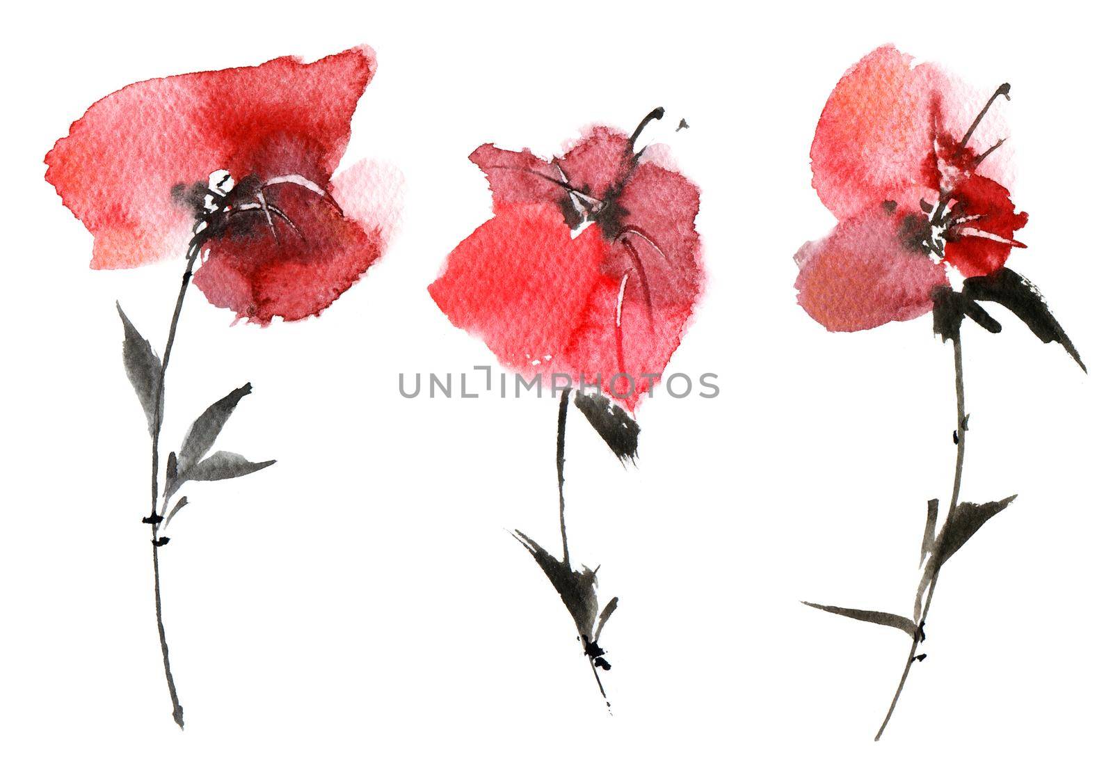 Watercolor illustration of red flowers - set on white background. Oriental traditional sumi-e painting.