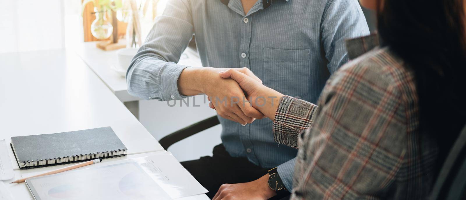 Asian business people shaking hands, finishing up meeting, business etiquette, congratulation, merger and acquisition concept.