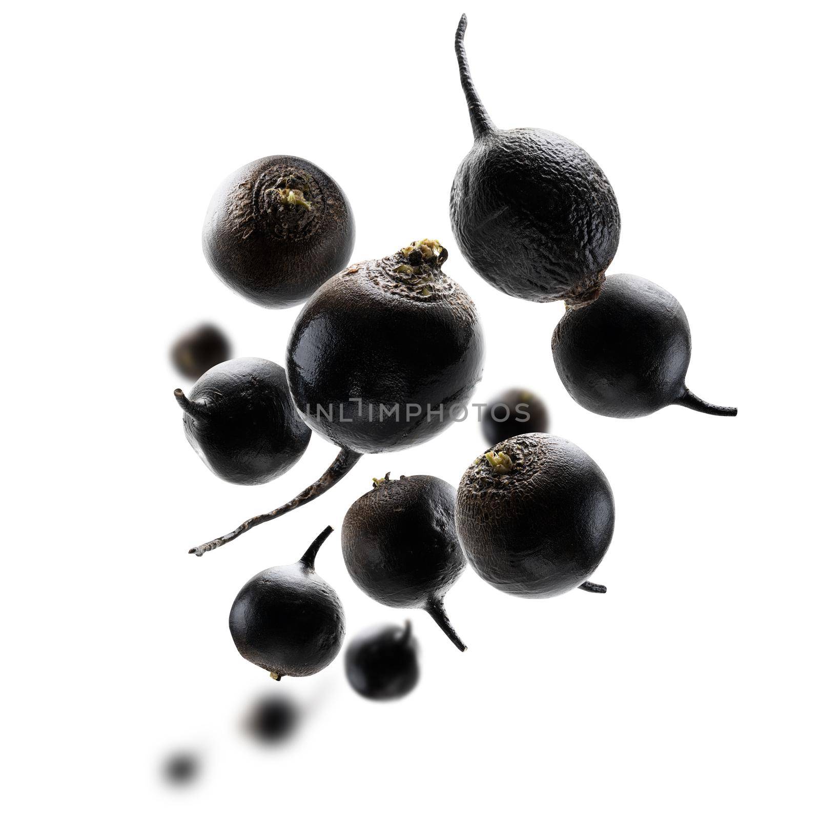 Black turnips levitate on a white background by butenkow