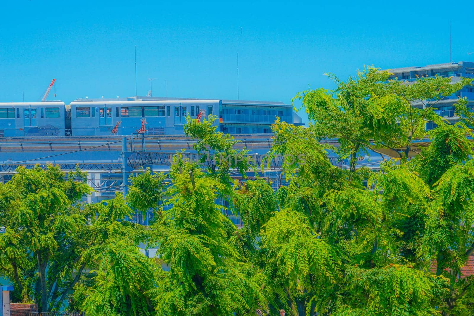 Tama city monorail and fresh green (Tama Center). Shooting Location: Tokyo metropolitan area