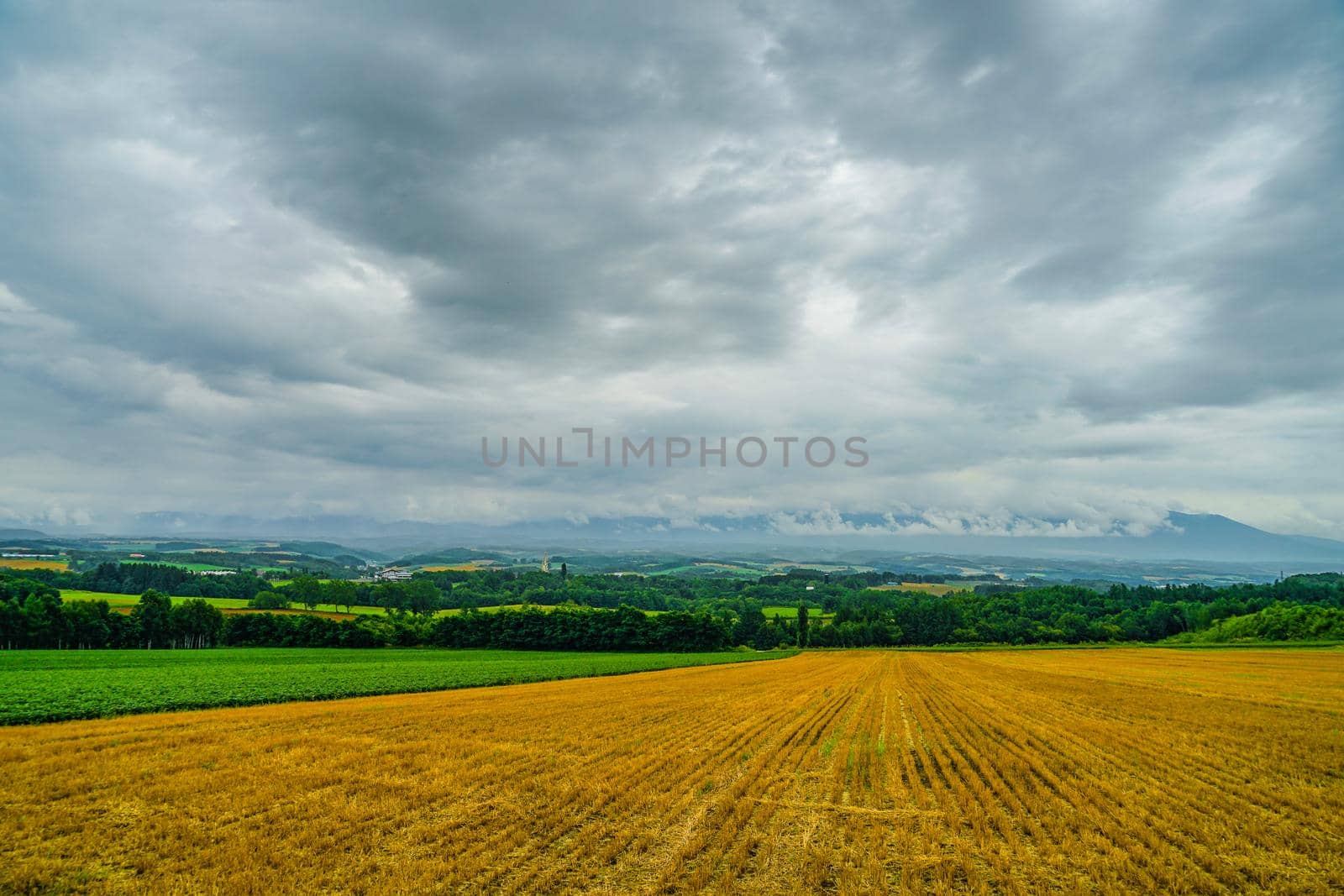 Hokkaidos nature and cloudy sky. Shooting Location: Hokkaido Biei-cho