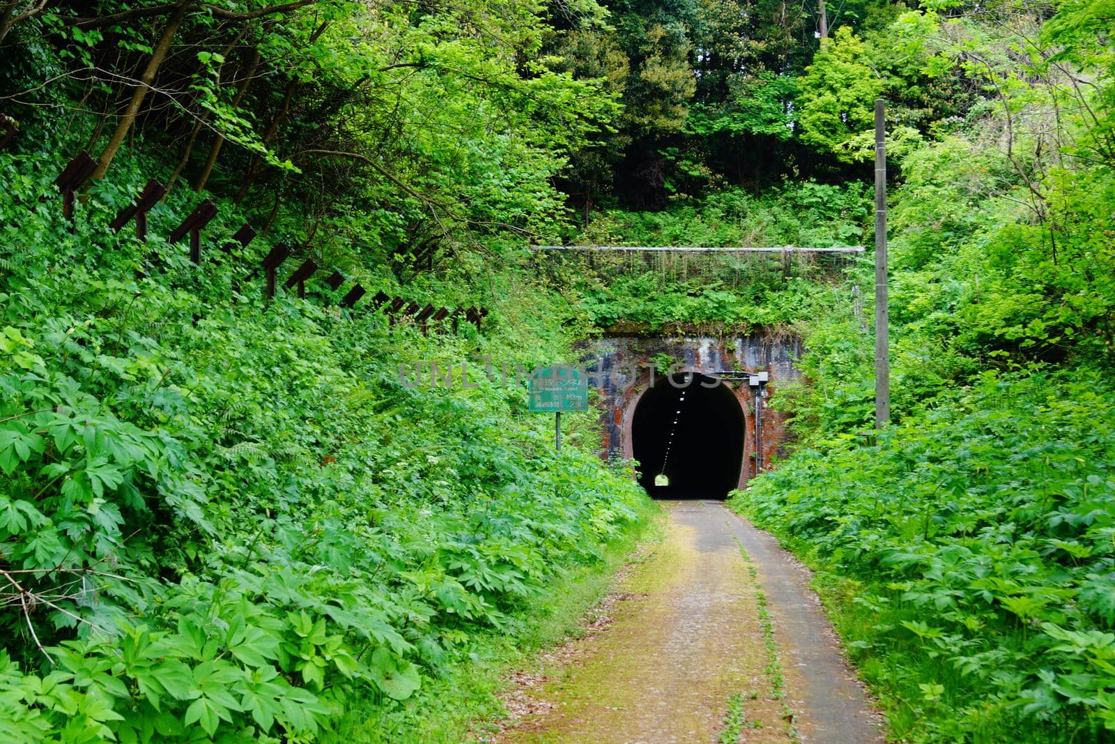 Image of Nittan tunnel. Shooting Location: Niigata Prefecture