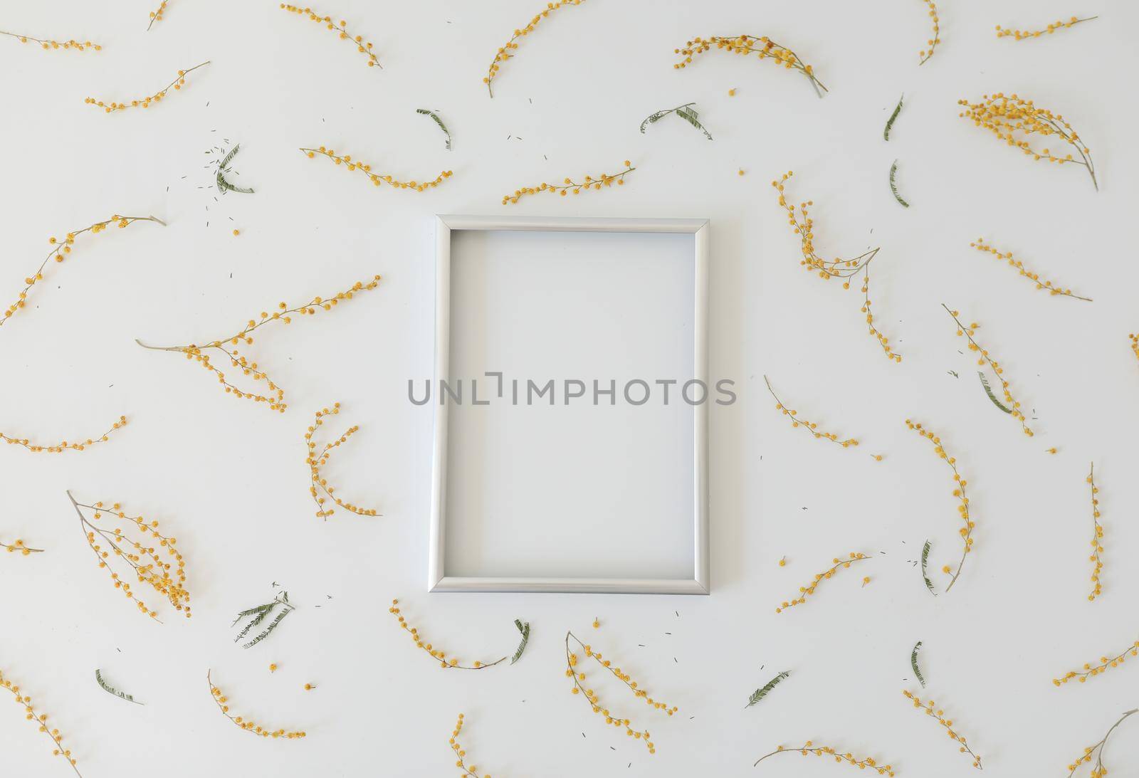 mockup with yellow mimosa flowers and blank photo frame with copy space. Spring, Easter concept.