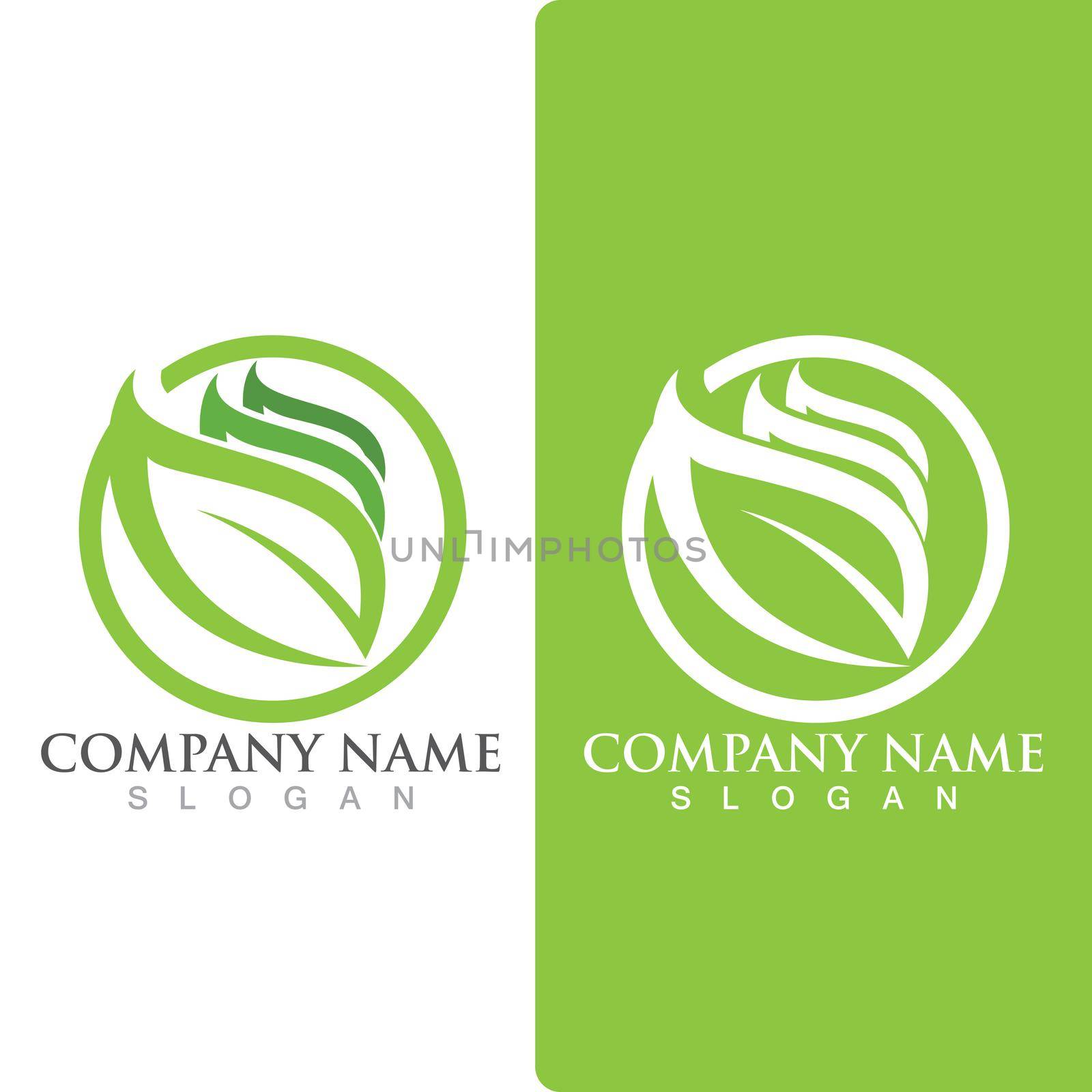  leaf ecology Logos of green Tree nature element vector