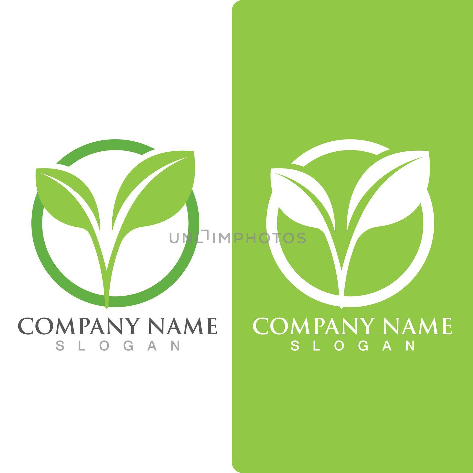  leaf ecology Logos of green Tree nature element vector