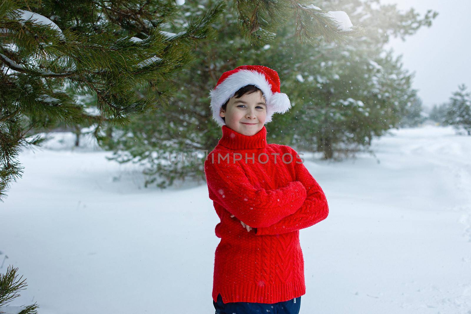 Cute teenager in a red sweater and a red santa claus hat stands in the winter in the park, near pine trees in the snow. Copy space