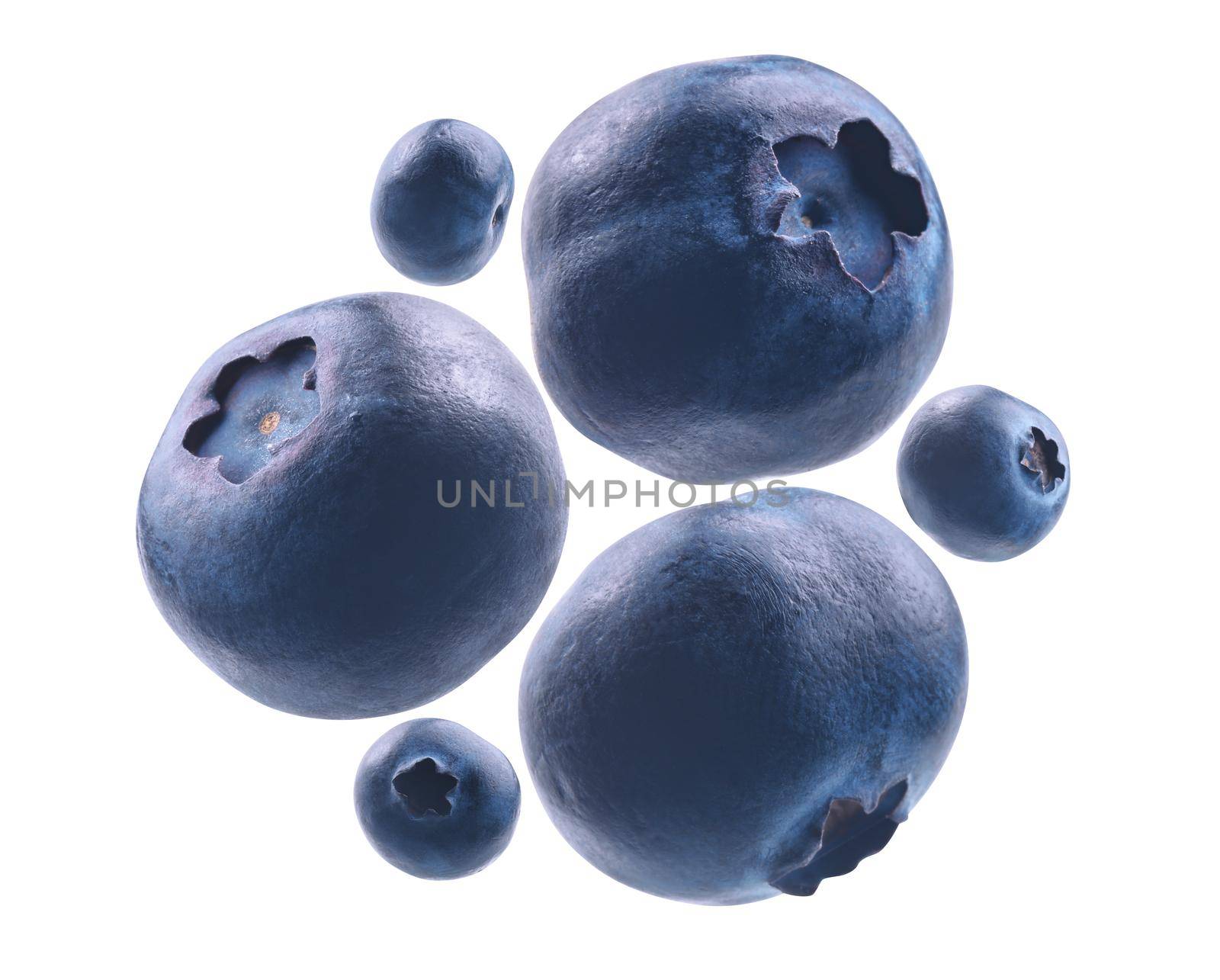 Ripe blueberries levitate on a white background.