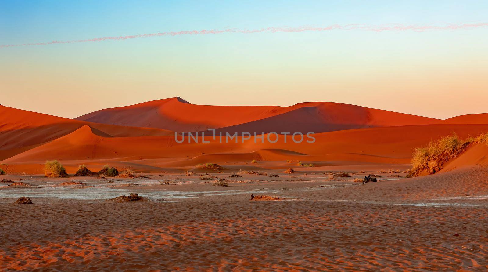 Arid dead sunrise landscape, near famous Dead Vlei in Namib desert, dune with morning sun, Namibia, Africa wilderness landscape