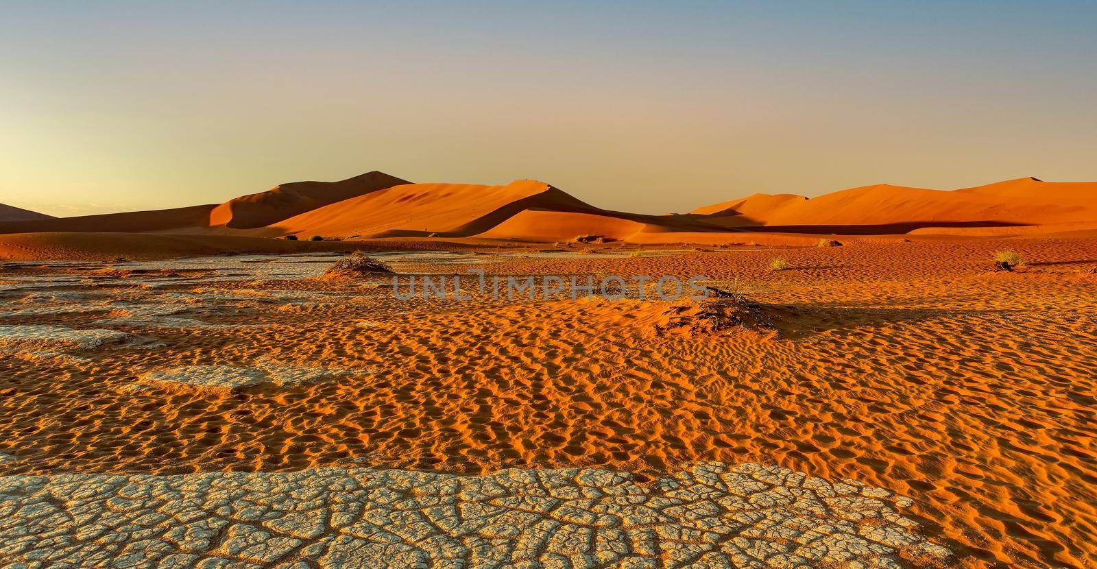 Arid dry landscape Hidden Vlei in Namibia Africa by artush