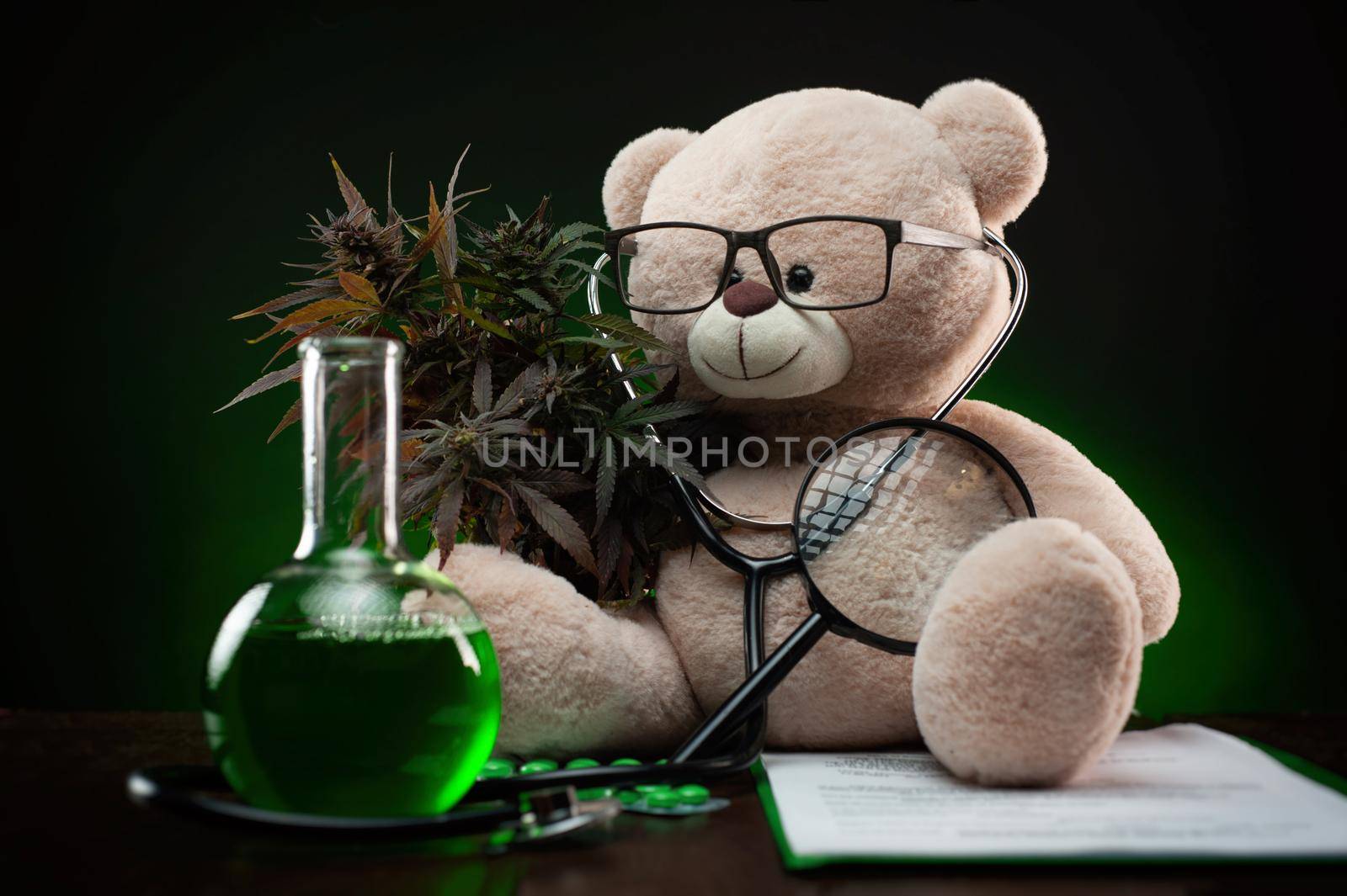 the cannabis plant for medical purposes and research , creative composition with a teddy bear