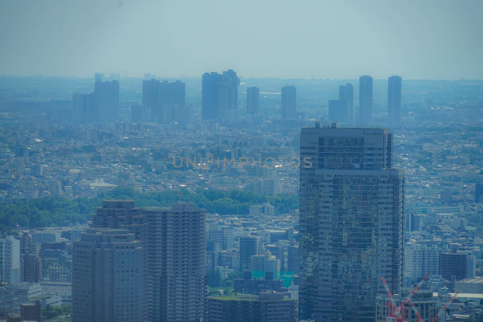 City landscape from Roppongi Hills Observatory. Shooting Location: Tokyo metropolitan area