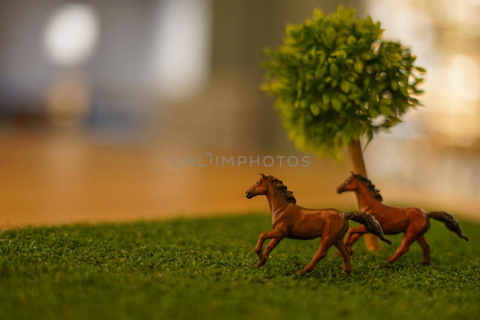 Horse figures and savannah images. Shooting Location: Hokkaido Furano