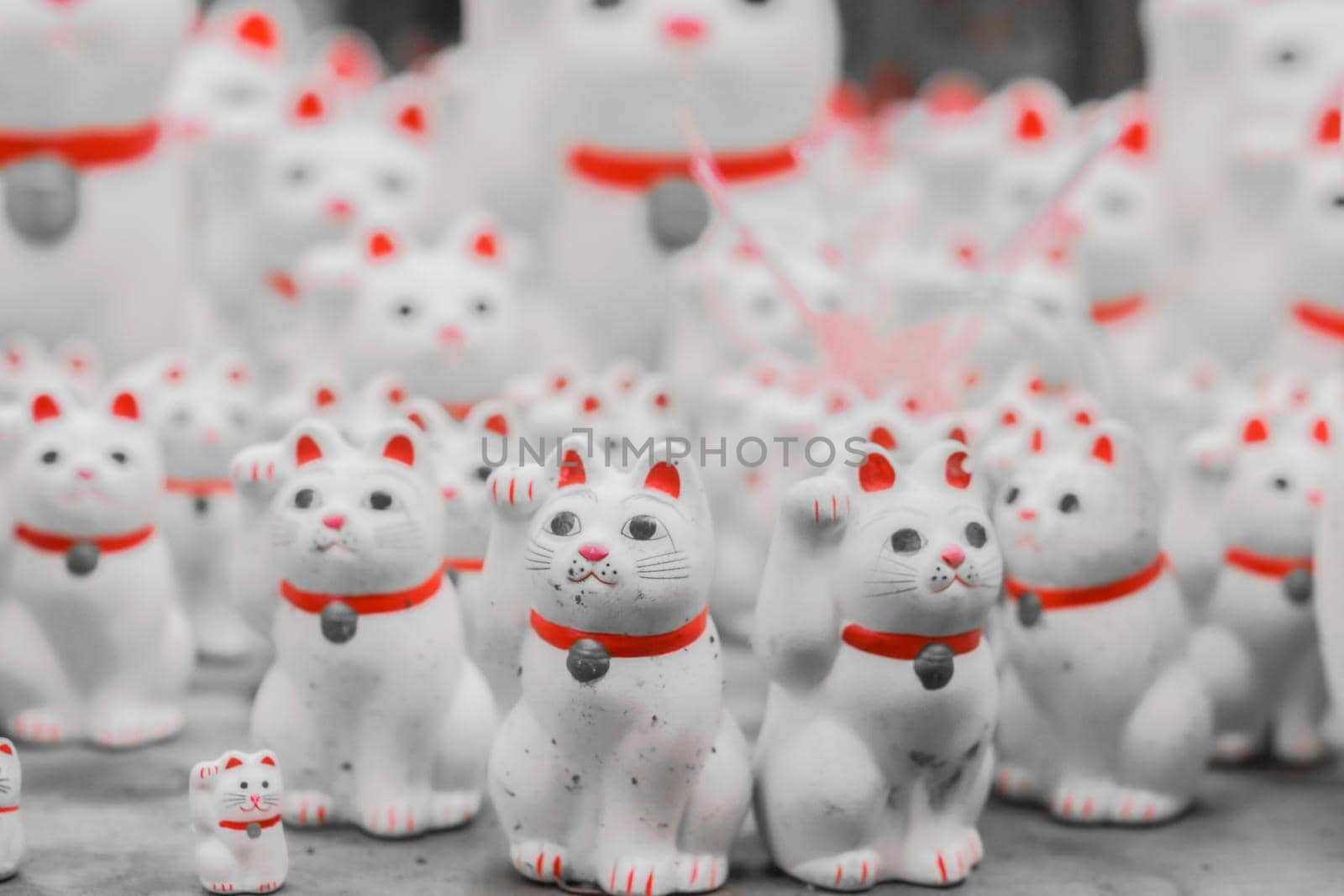 Many invited cats (Gotokuji). Shooting Location: Tokyo metropolitan area