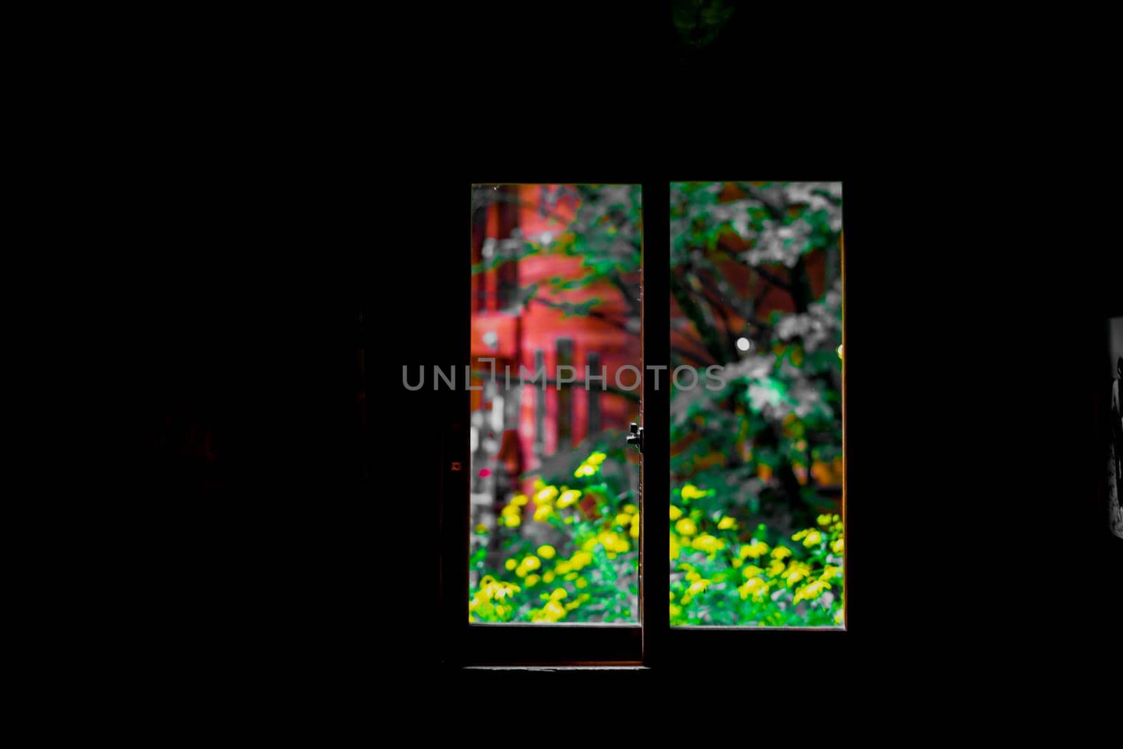 From the window of the house in the forest. Shooting Location: Hokkaido Biei-cho