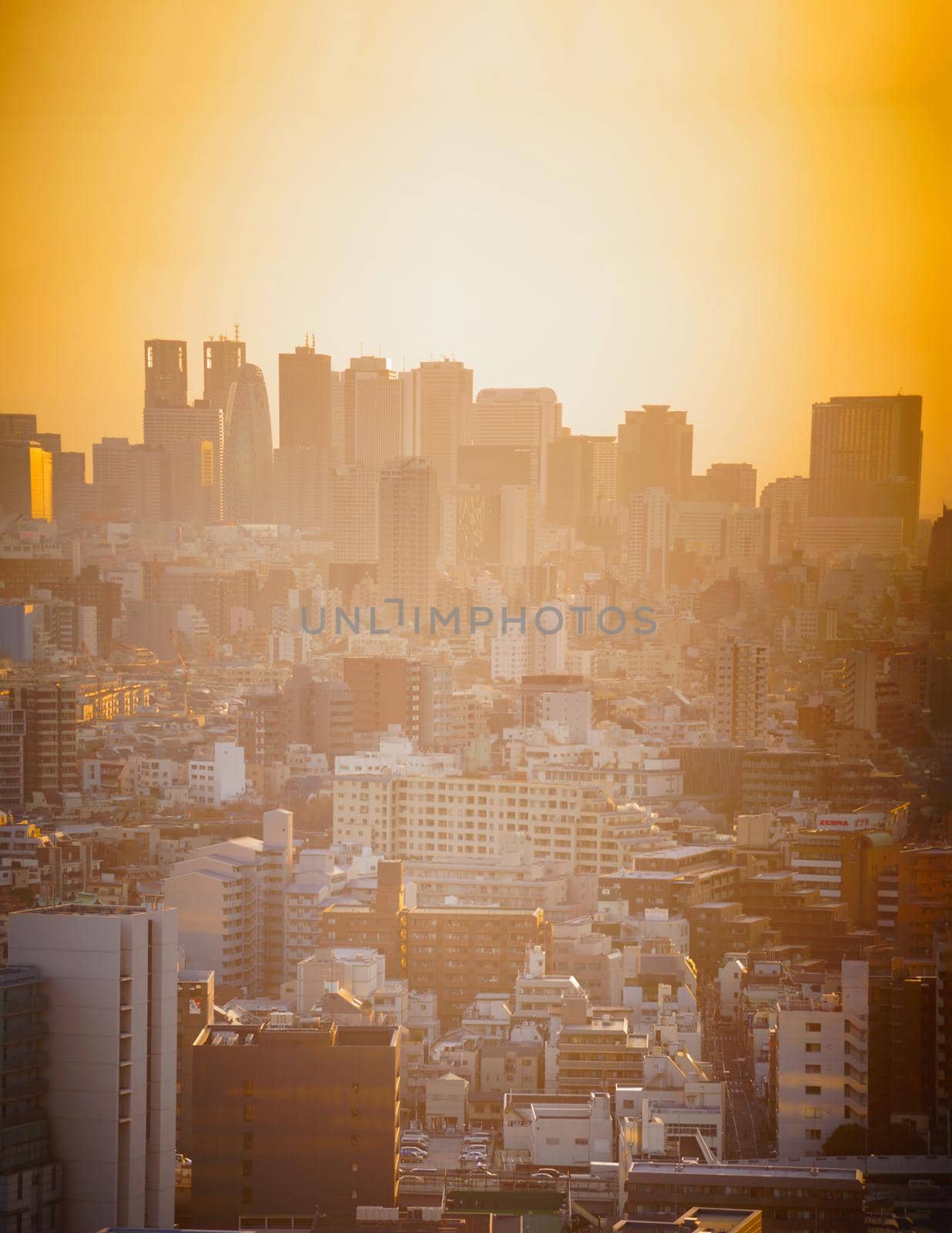 Shinjuku dusk. Shooting Location: Tokyo Chofu City