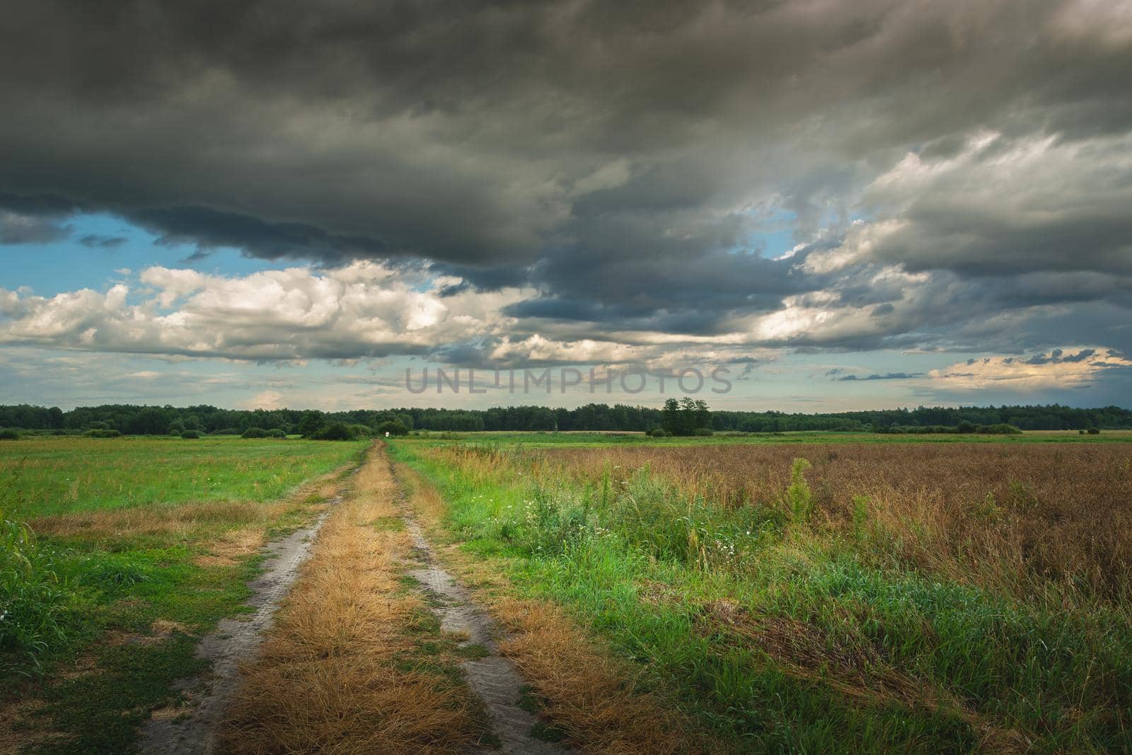 Dirt road through meadows and dark clouds on the sky, summer view