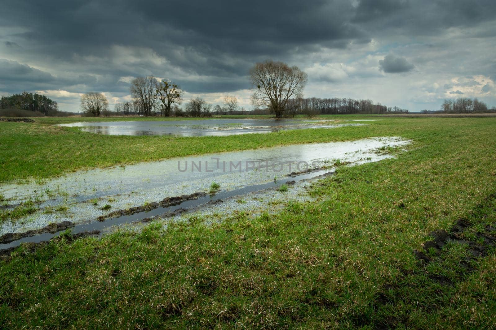 Water on the meadow and the cloudy sky by darekb22