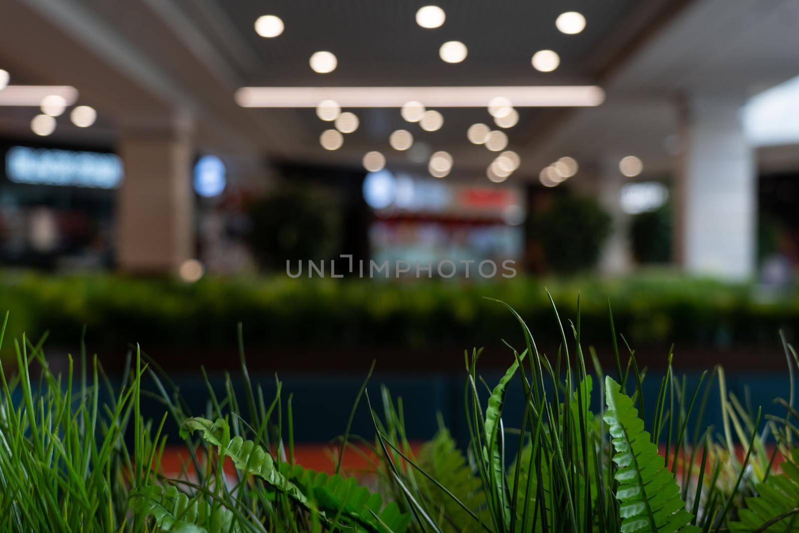 Food court area with spacious eating dining location decorated with grass. Modern design