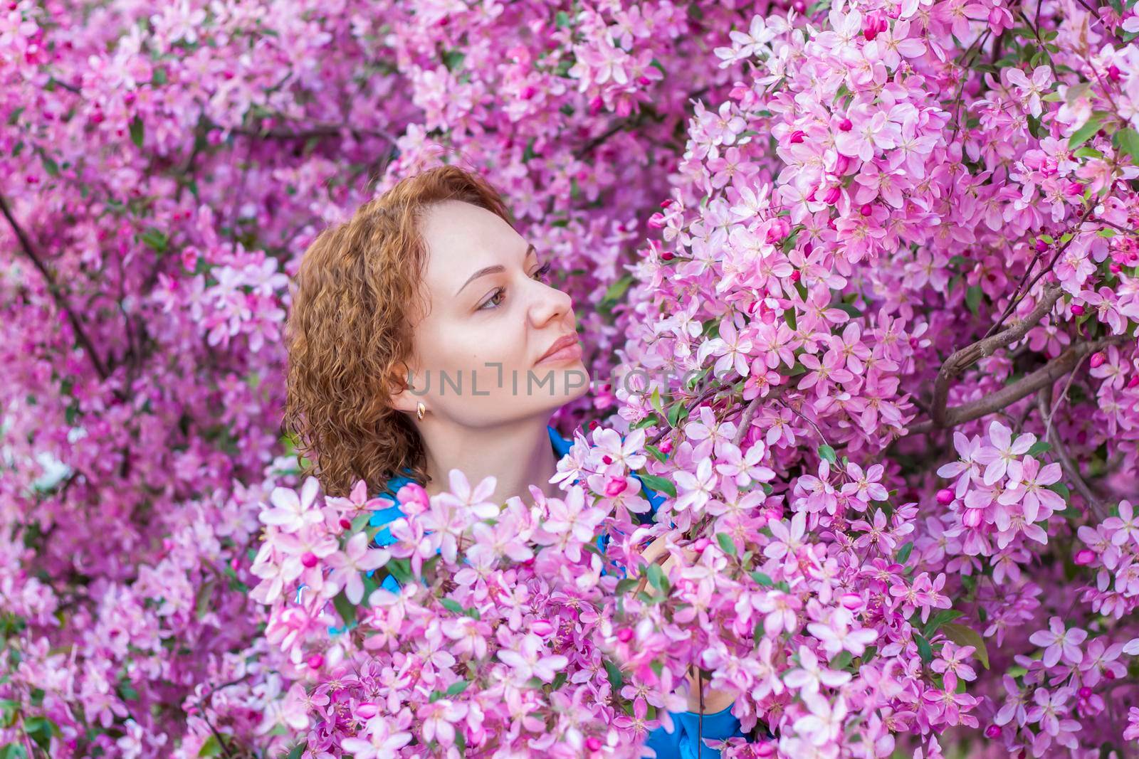 Portrait of a curly-haired girl on the background of a flowering tree. A girl in pink apple blossoms. The apple tree is in bloom. Spring flowering of the apple orchard. Selective focus