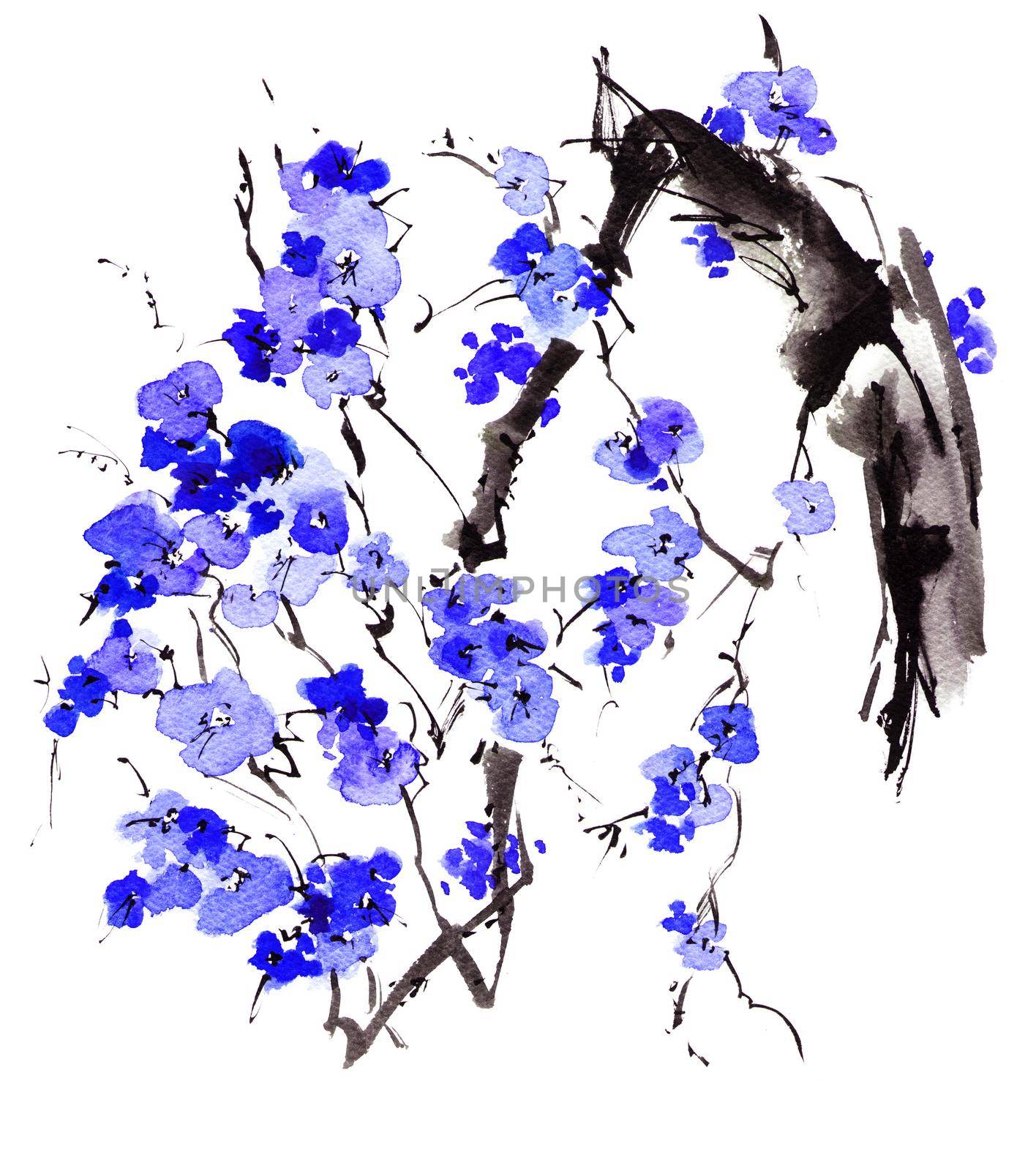 Watercolor and ink sketch - illustration of blossom tree branch with blue flowers, oriental traditional sumi-e painting