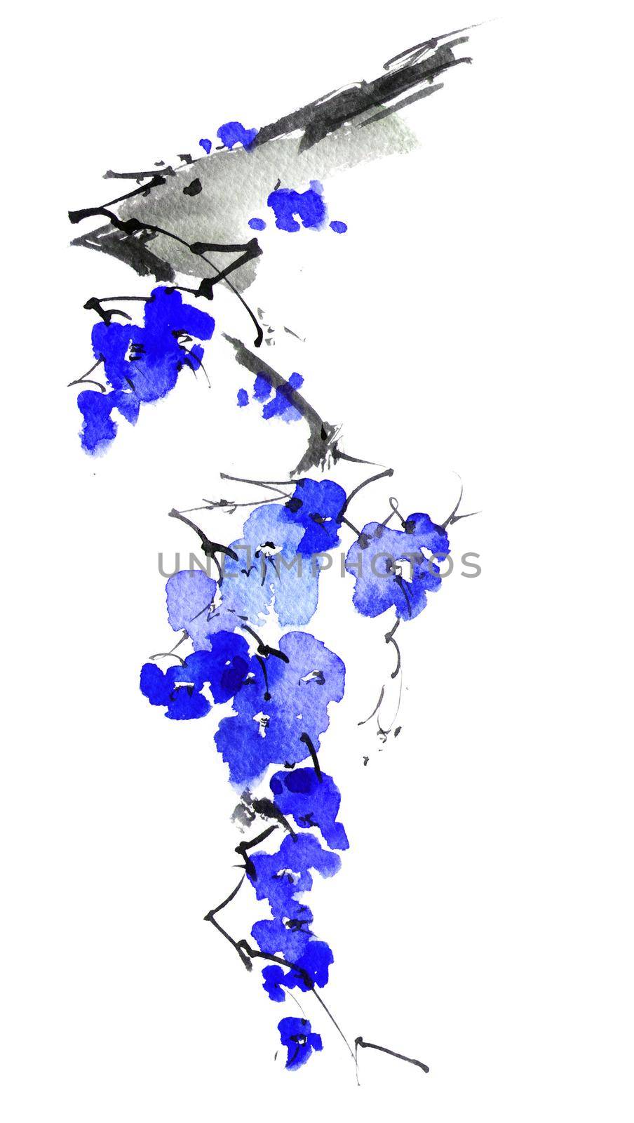 Watercolor and ink sketch - illustration of blossom tree branch with blue flowers, oriental traditional sumi-e painting