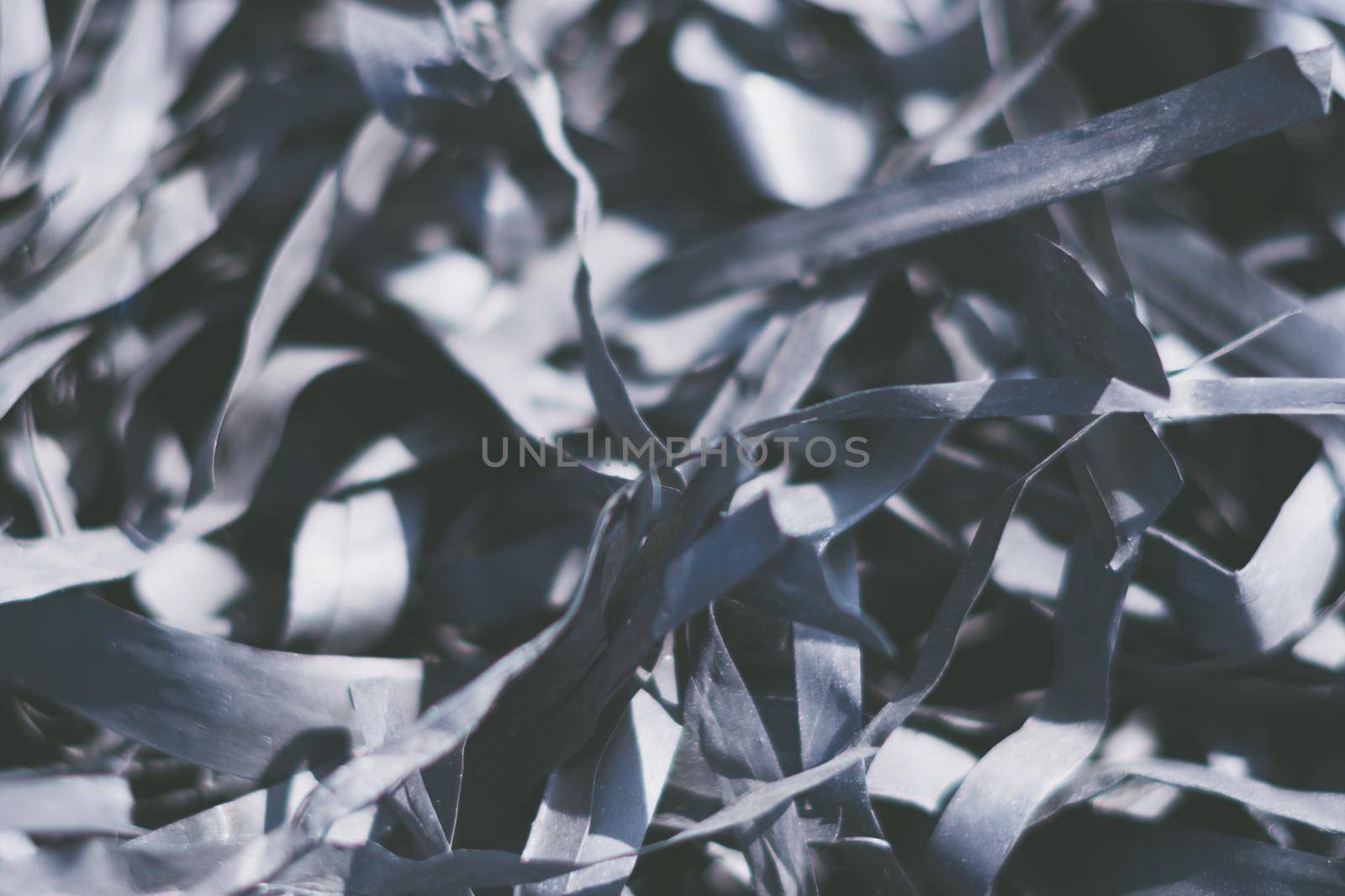 Abstract real photo beauty blur background. Bunch heap pile long narrow leave nature dry material rubbish stack. Copy space. Maze life confusion concept. Dark light tone Black Pale Matte Vintage.