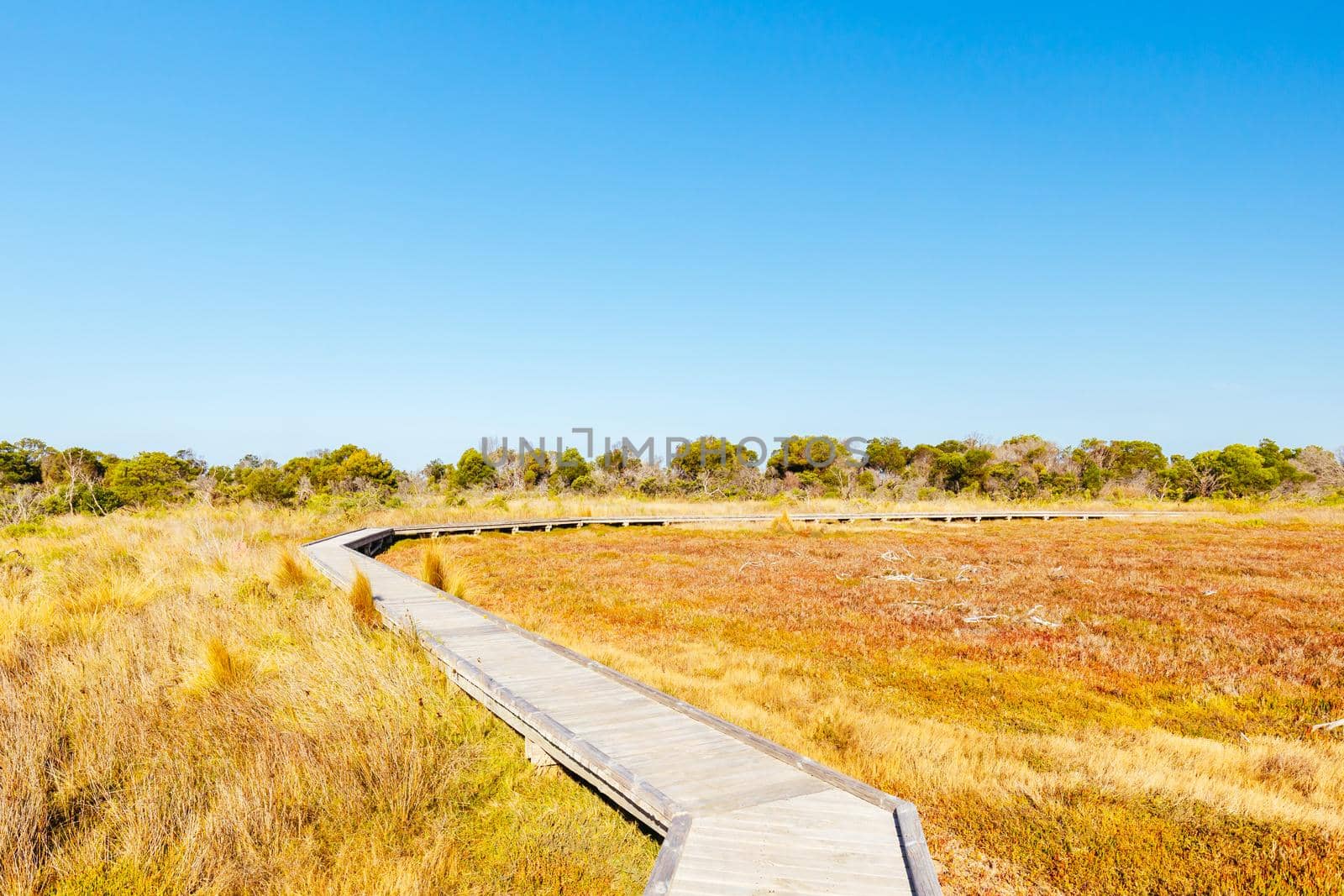 Edwards Point Wildlife Reserve in Australia by FiledIMAGE