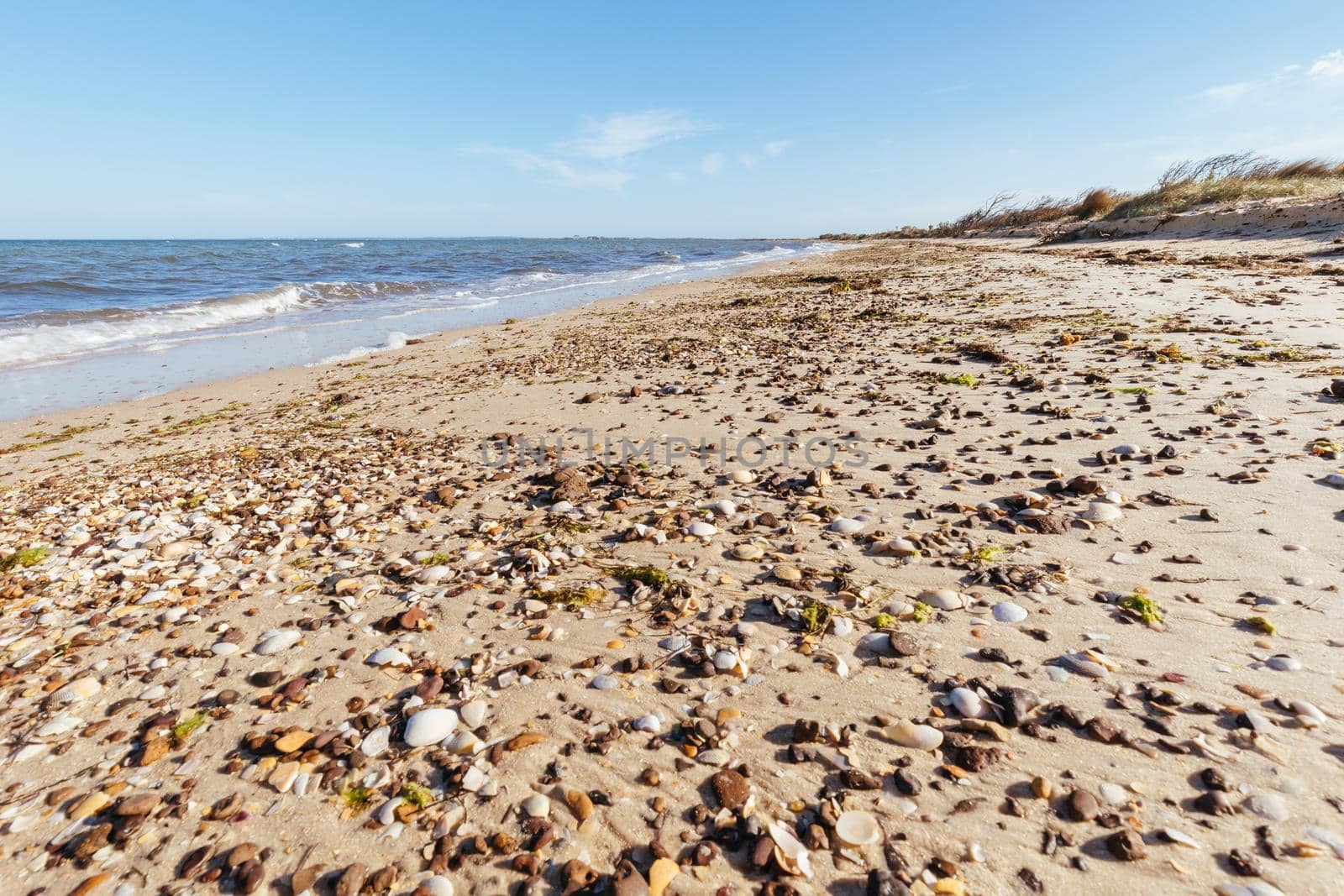 Edwards Point Wildlife Reserve and Two Bays Lookout at Swan Bay near St Leonards in Victoria, Australia
