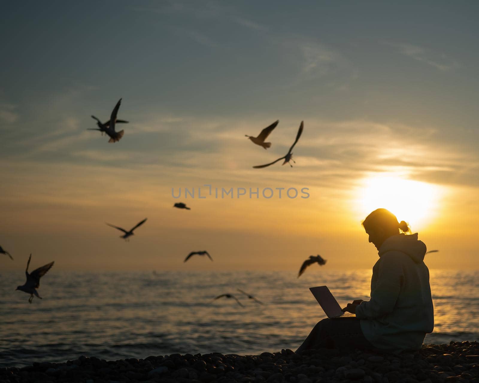 Caucasian woman typing on a laptop on the seashore. Girl freelancer works on the beach and seagulls fly at sunset