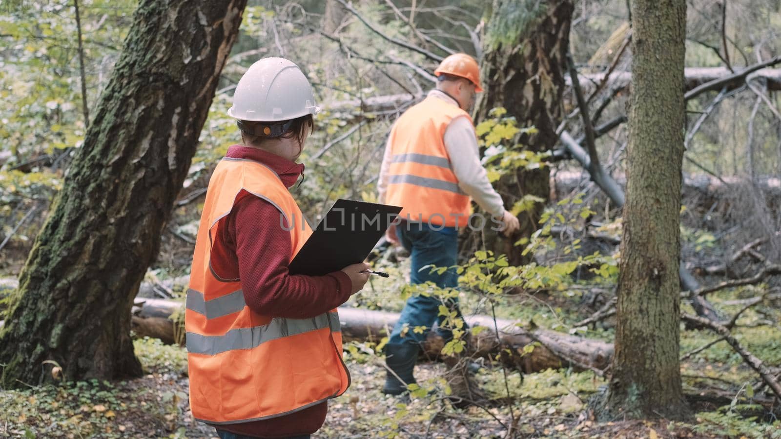 Environmentalists a woman and man draw up a penalty protocol for illegal logging by Visionlabs