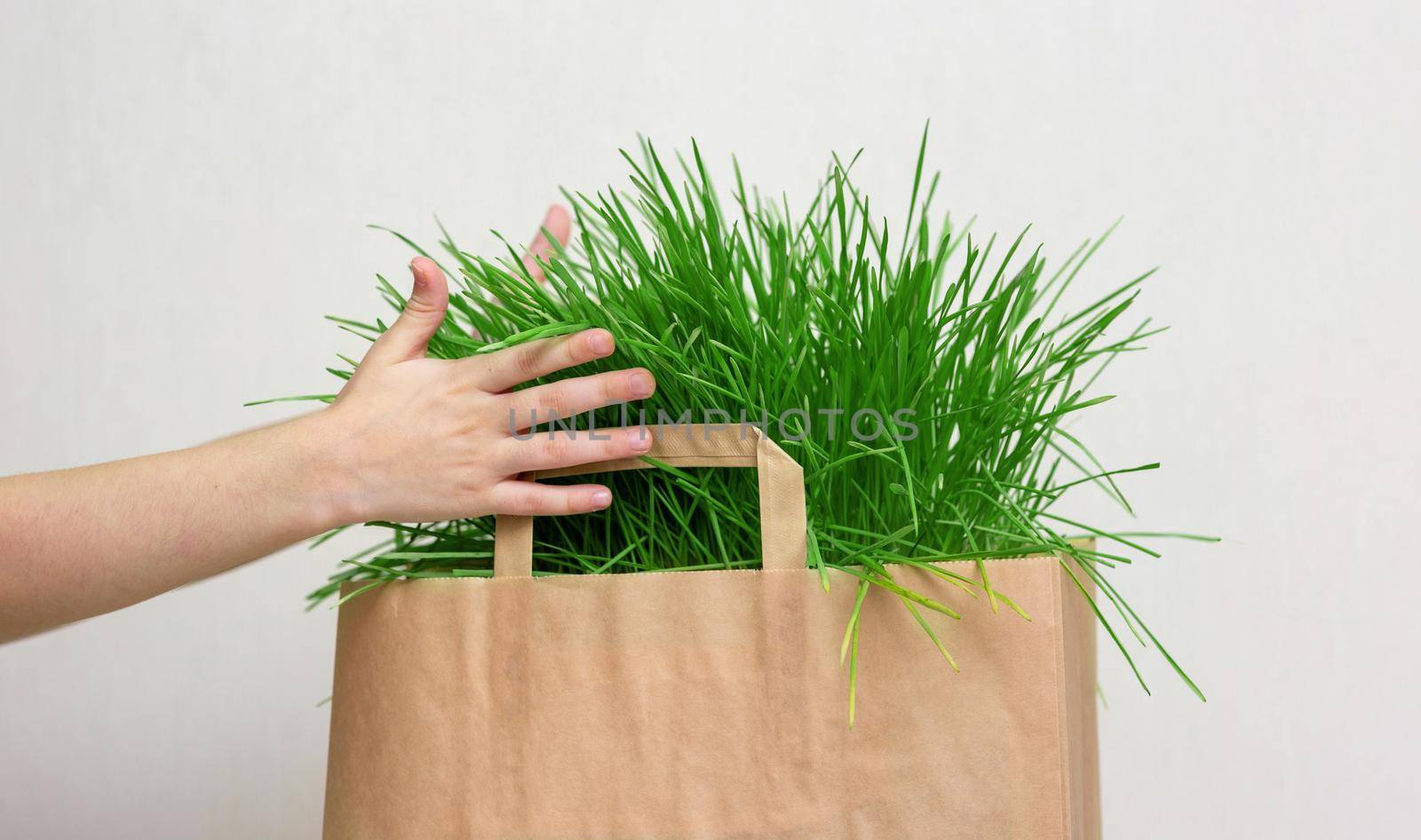 A hands of kid holding a paper bag of green grass. Close up. Mock up. Copy space