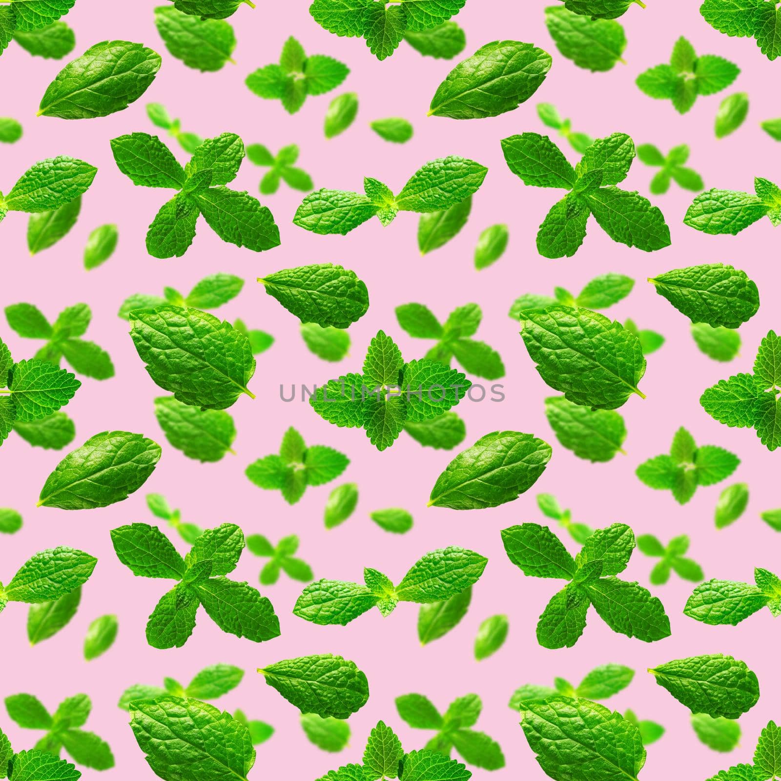 Seamless pattern of fresh mint leaves on pink background by PhotoTime