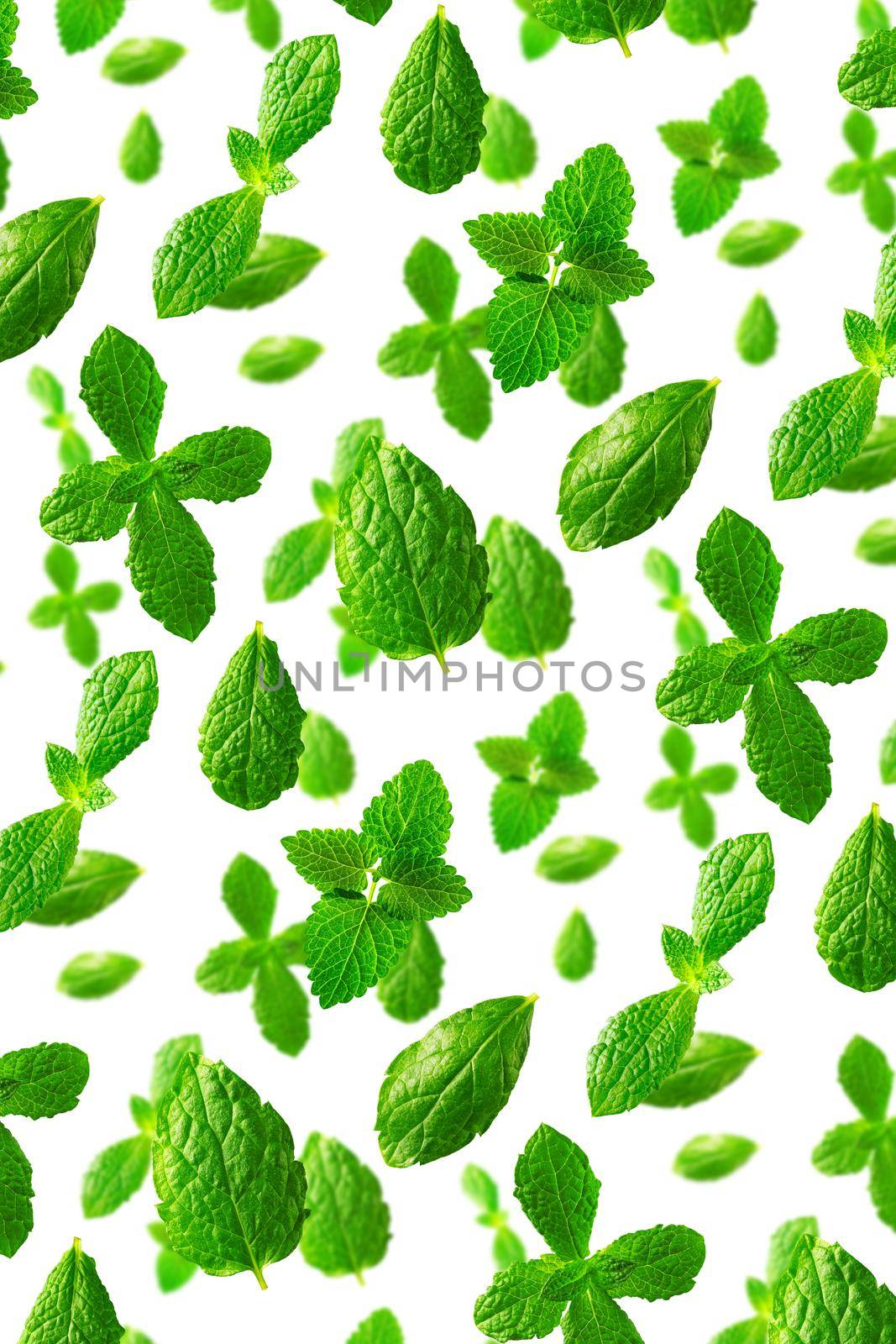 Background of fresh mint leaves on white backdrop by PhotoTime