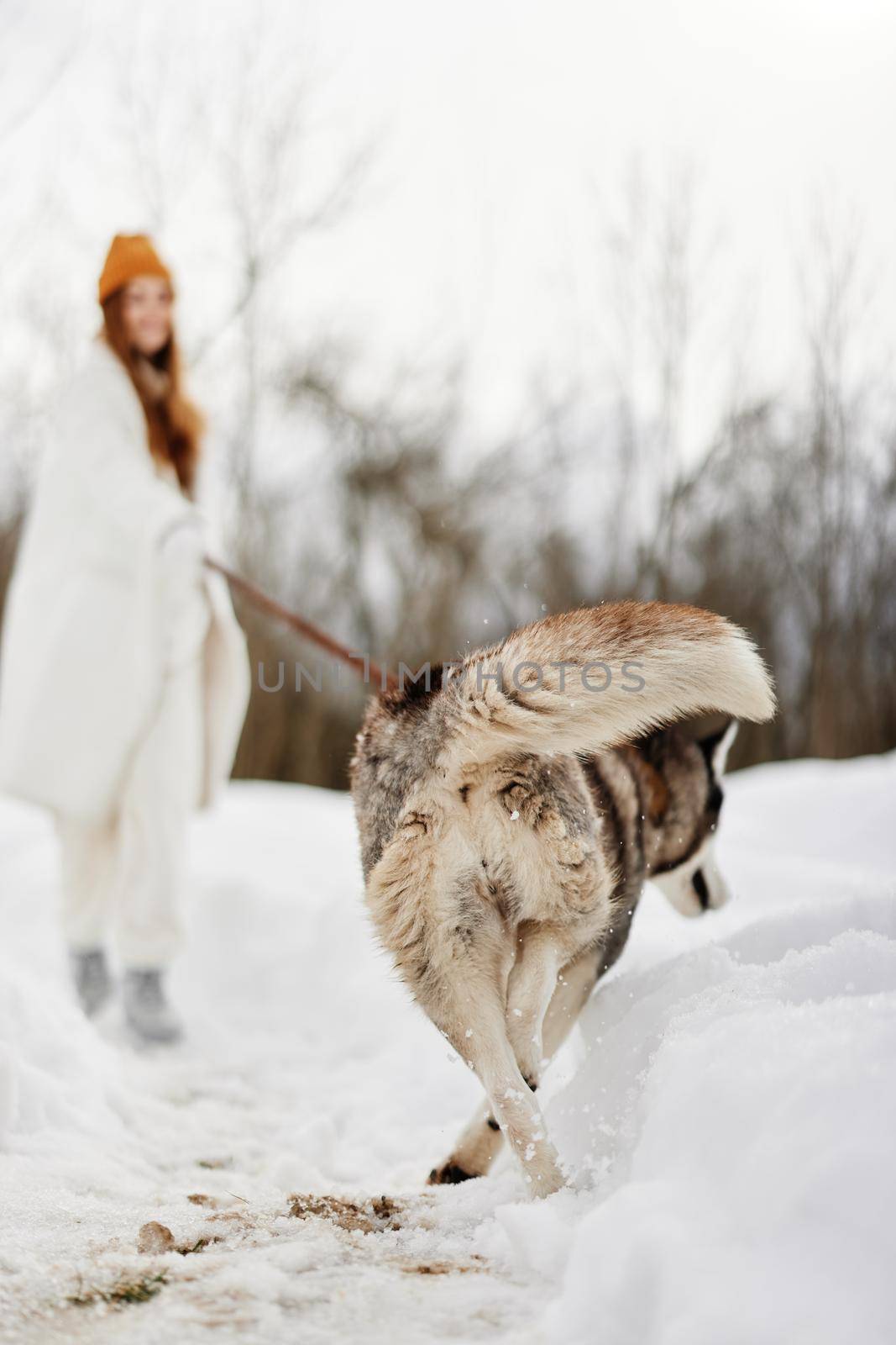 Happy young woman with a purebred dog for a walk in winter nature winter holidays by SHOTPRIME