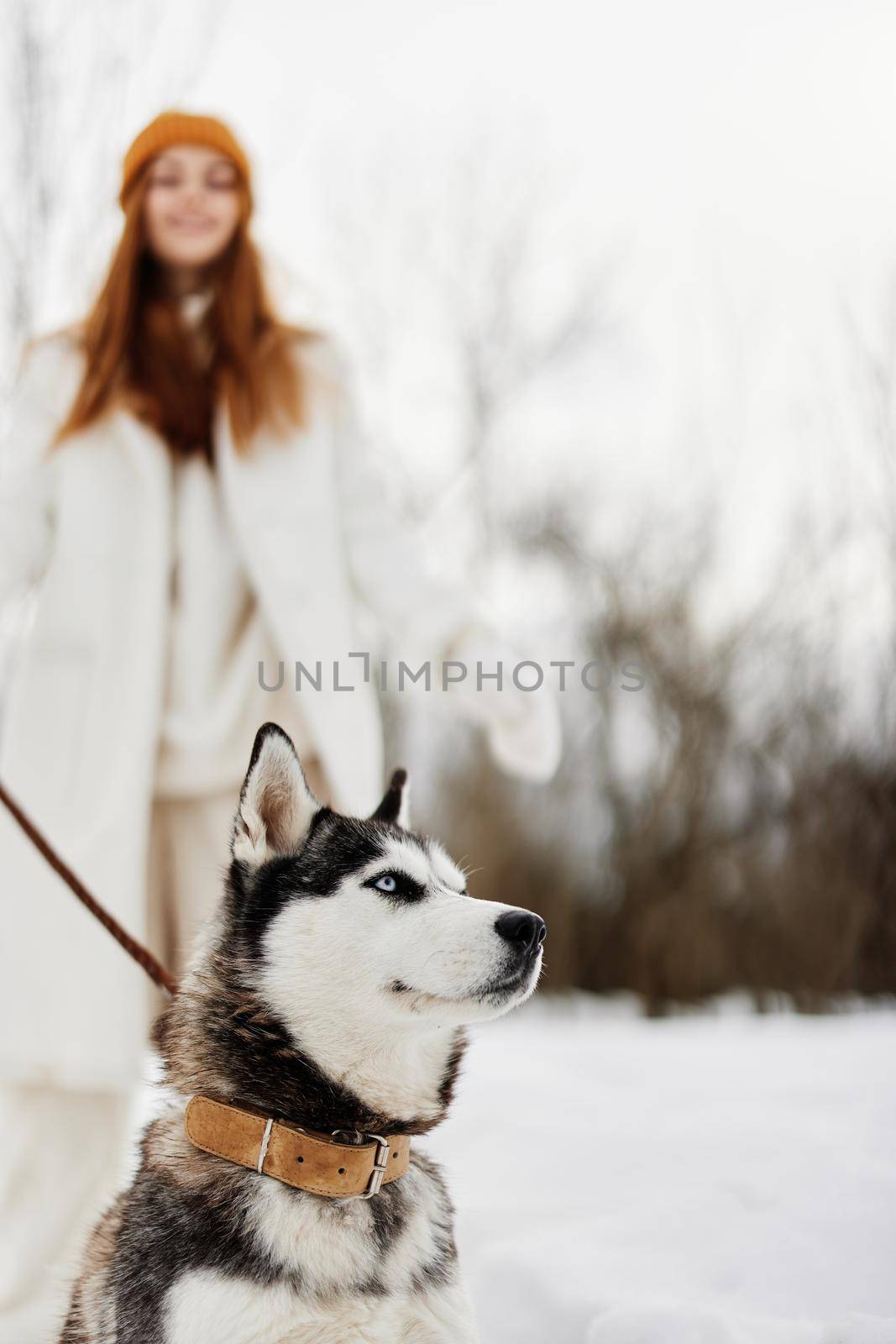 young woman with husky winter walk outdoors friendship winter holidays by SHOTPRIME