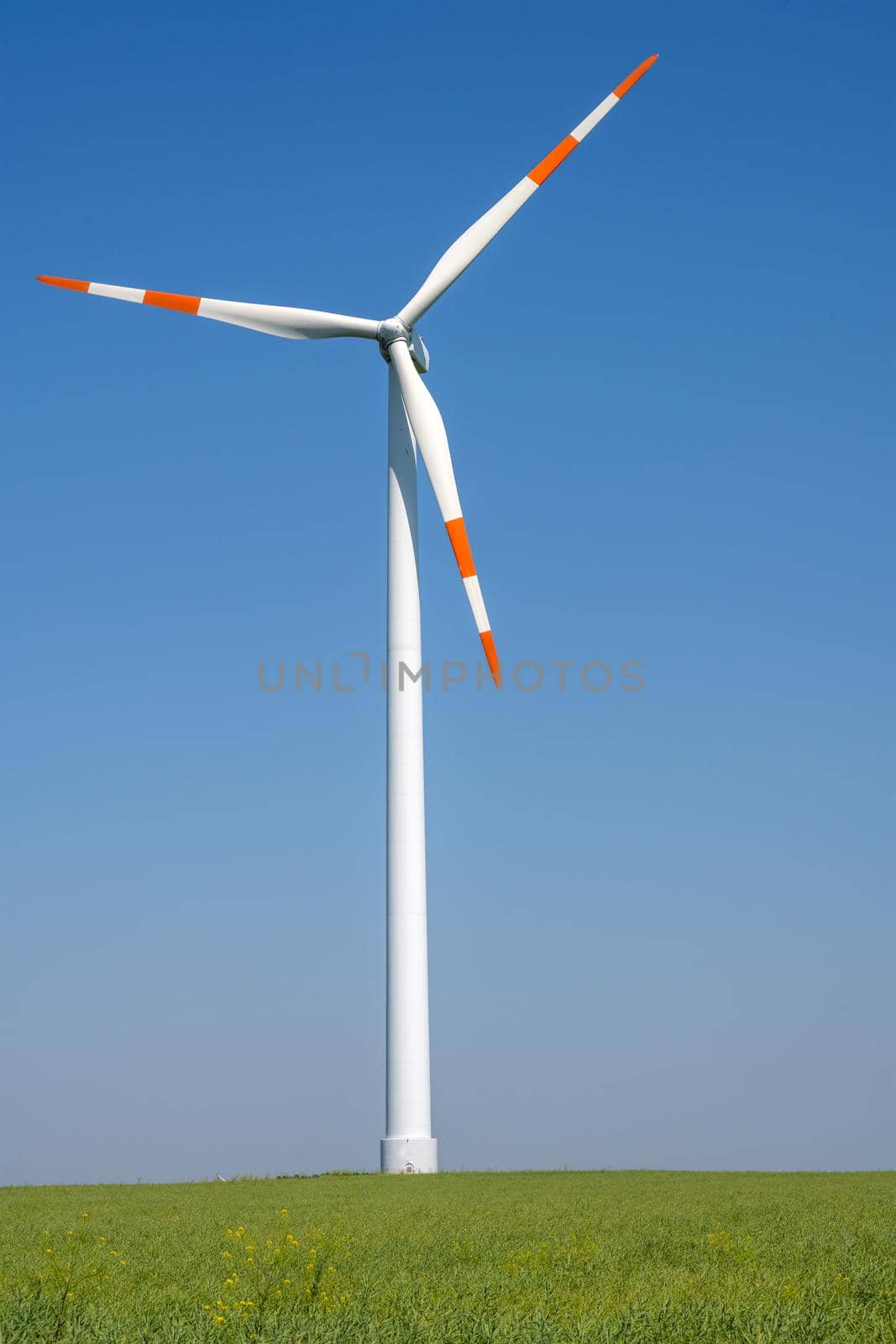Wind turbine in front of a blue sky by elxeneize