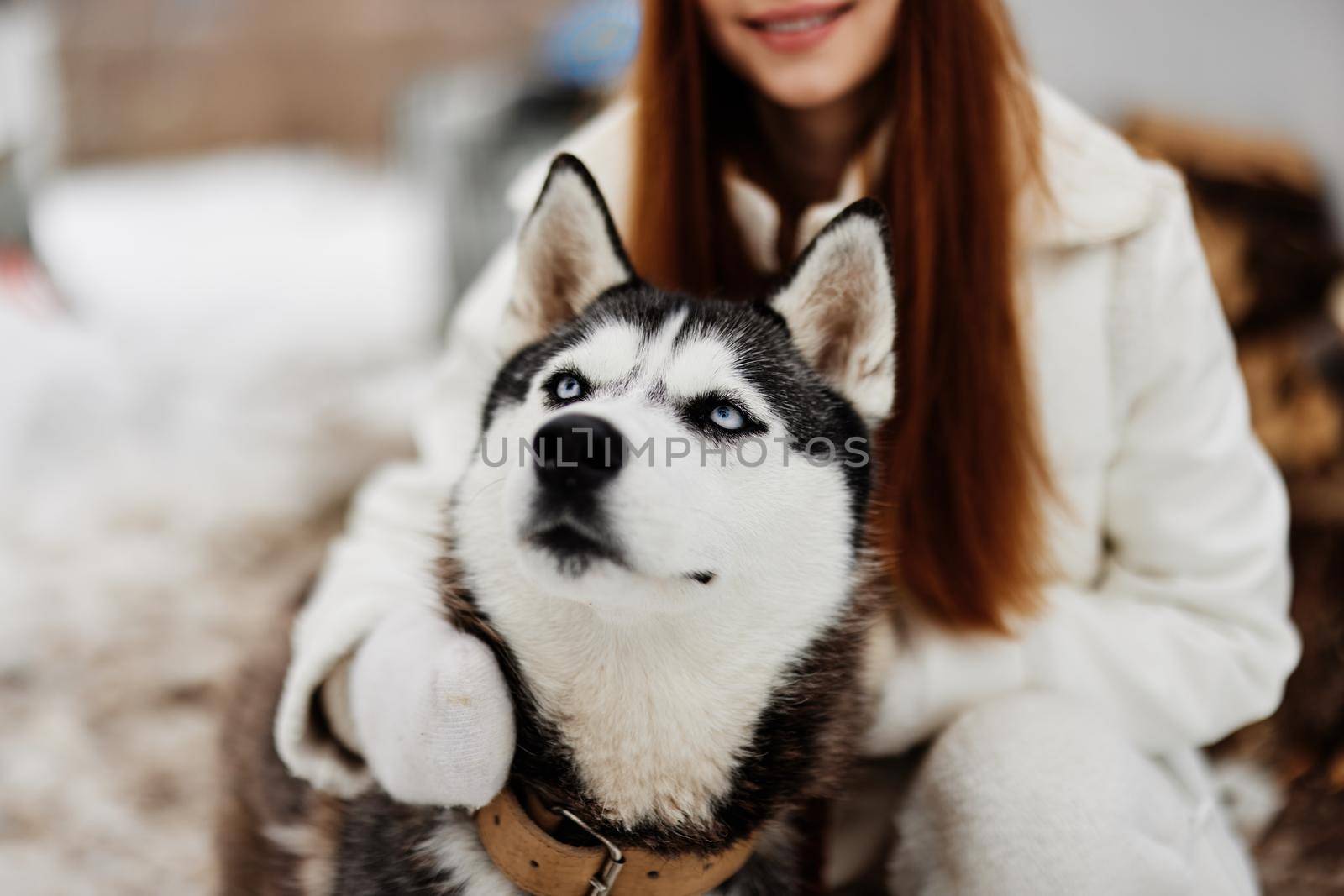 young woman with husky winter walk outdoors friendship fresh air. High quality photo