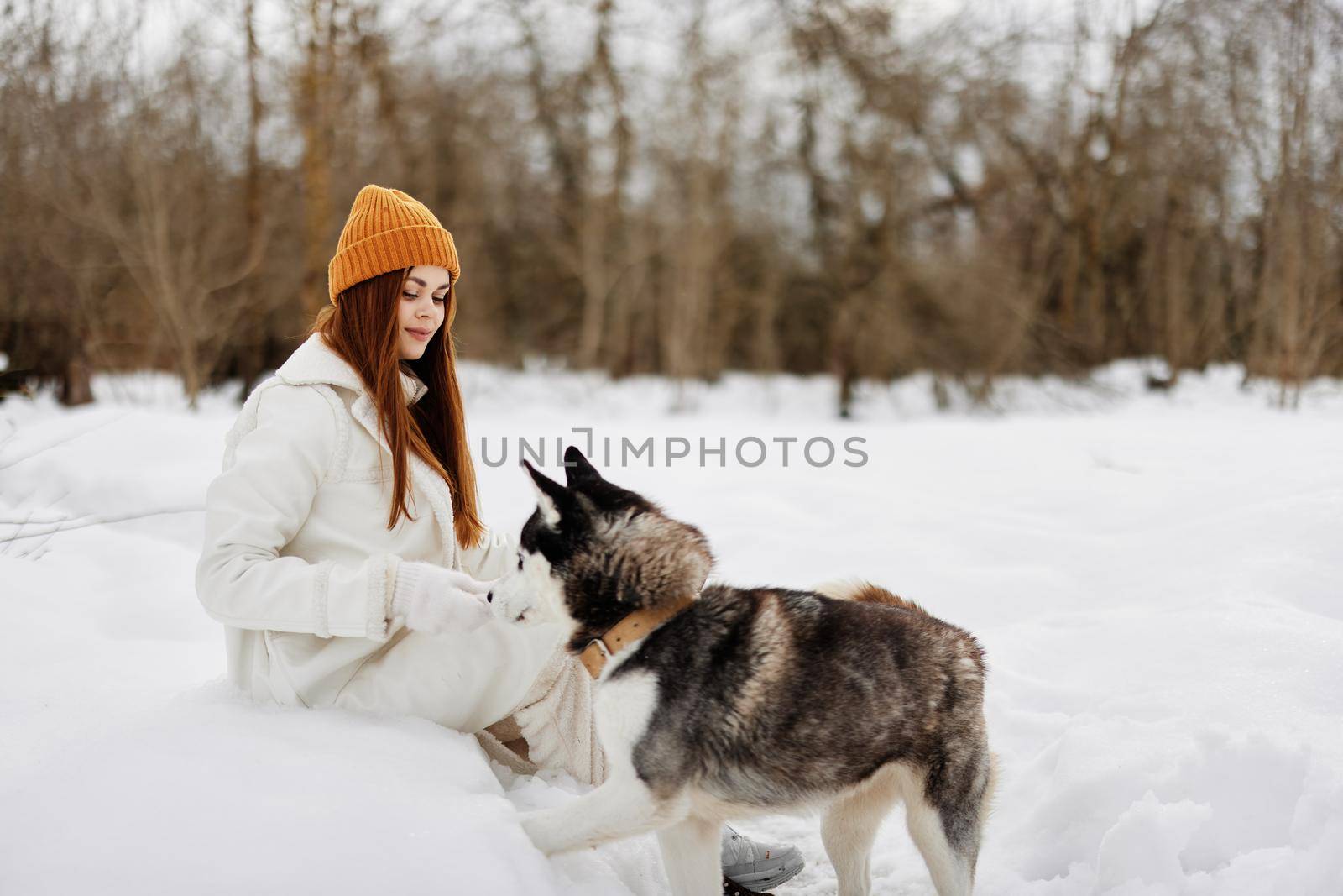 woman winter clothes walking the dog in the snow fresh air by SHOTPRIME