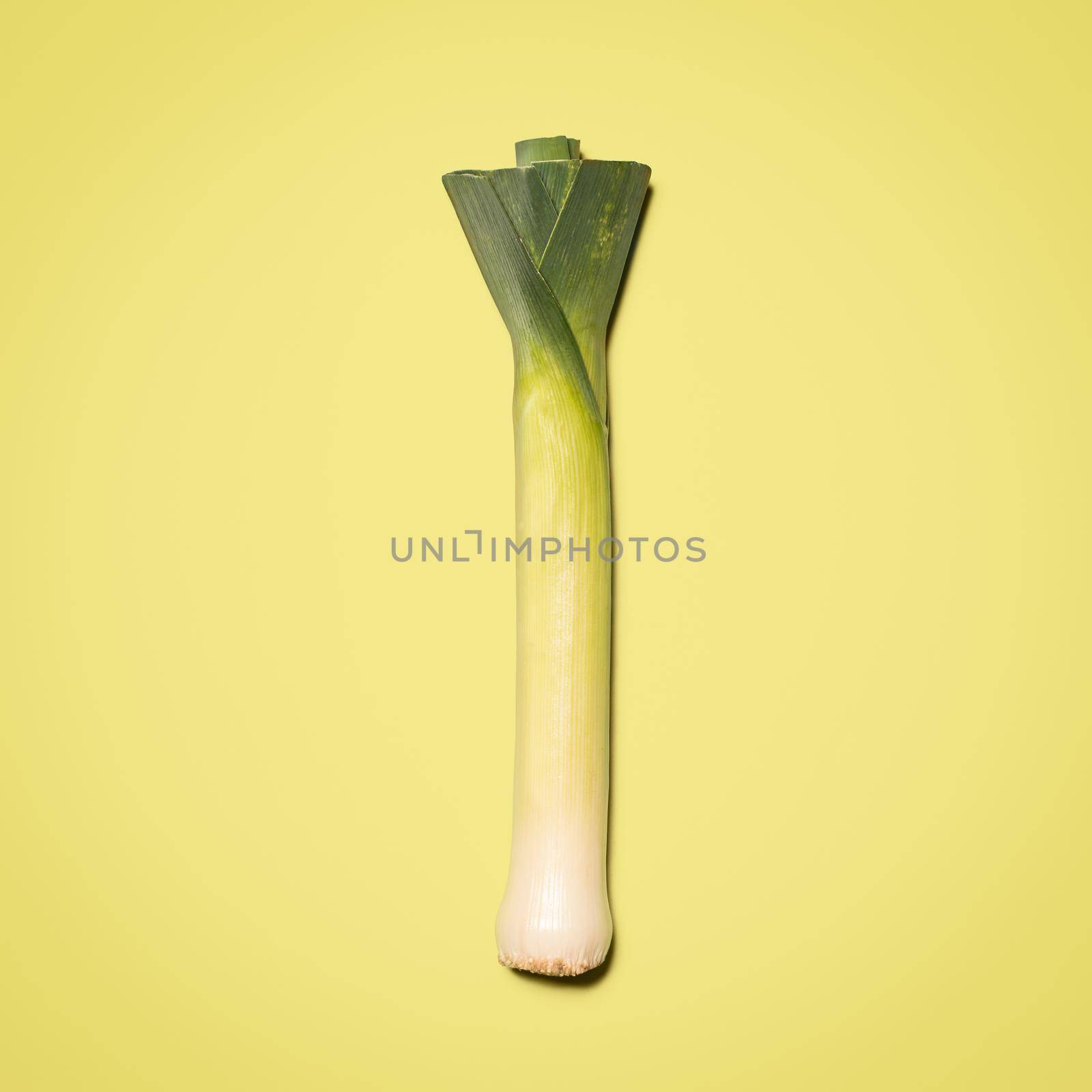 Shot of a leek against a studio background.