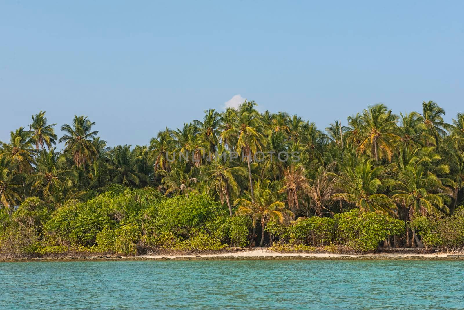 Remote tropical island paradise with shallow lagoon in ocean and thick vegetation of coconut palm trees cocos nucifera