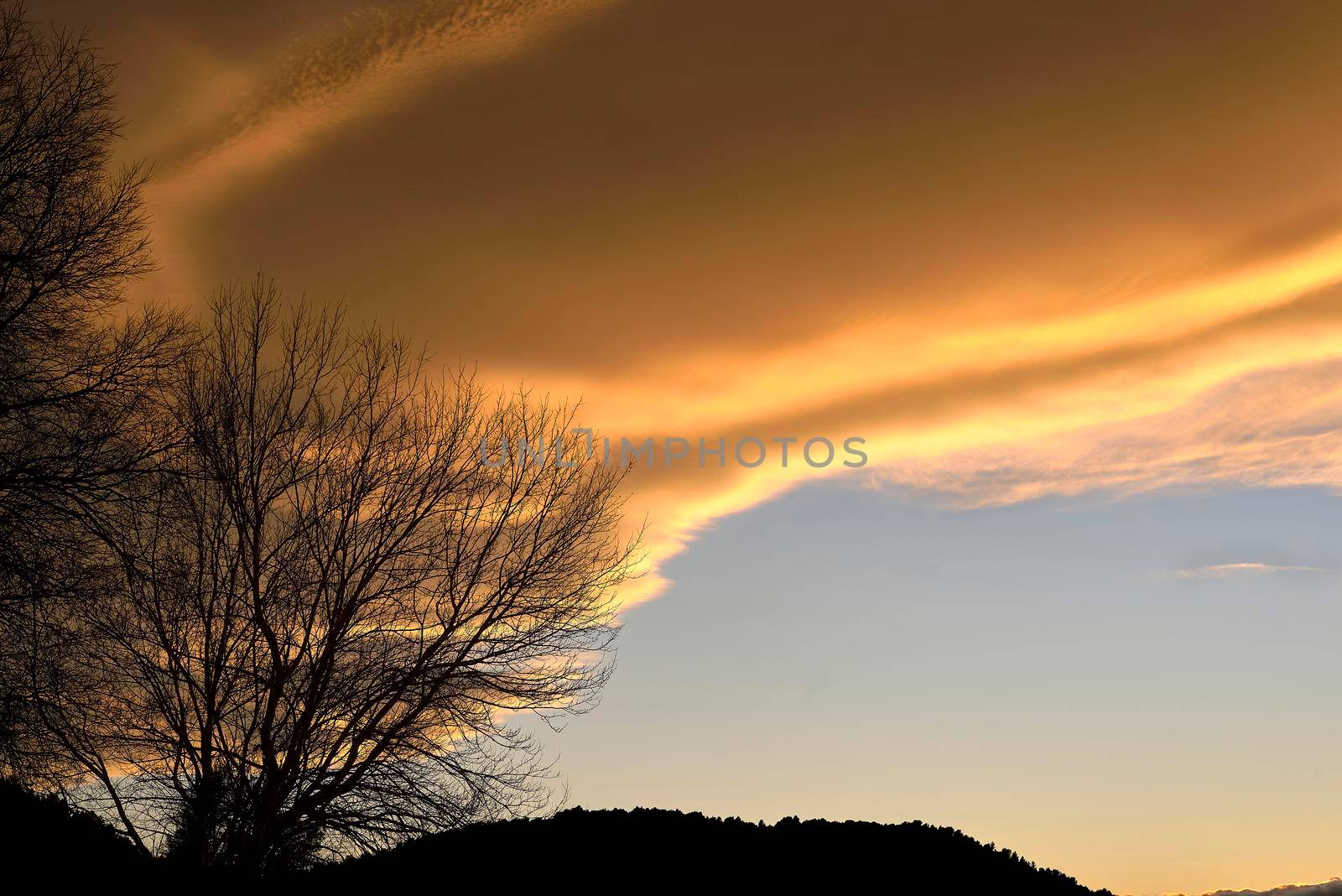 Silhouette of leafless tree and mountains at sunset .Sky light after sunset. orange background