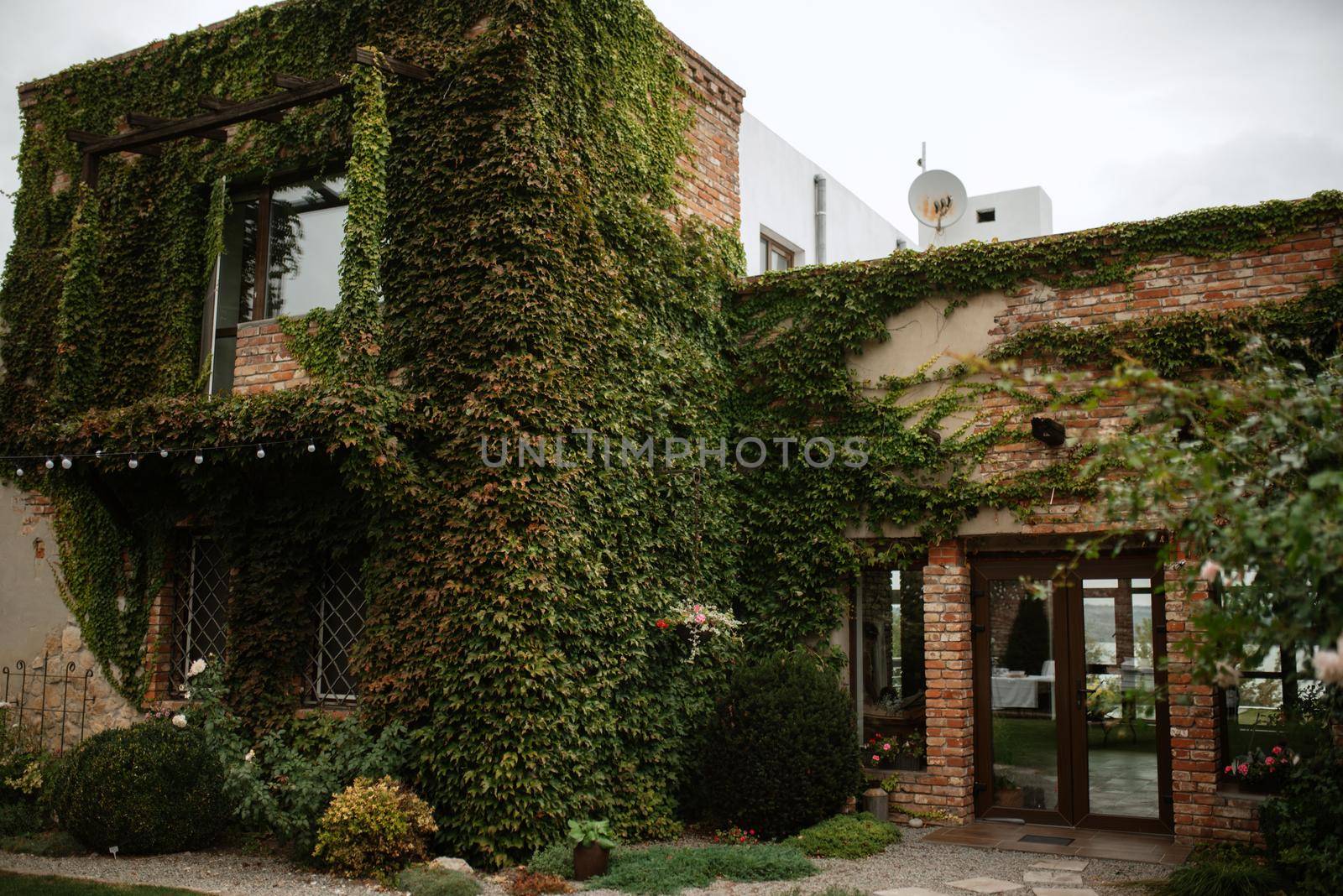 villa red brick restaurant overgrown with green wild grapes