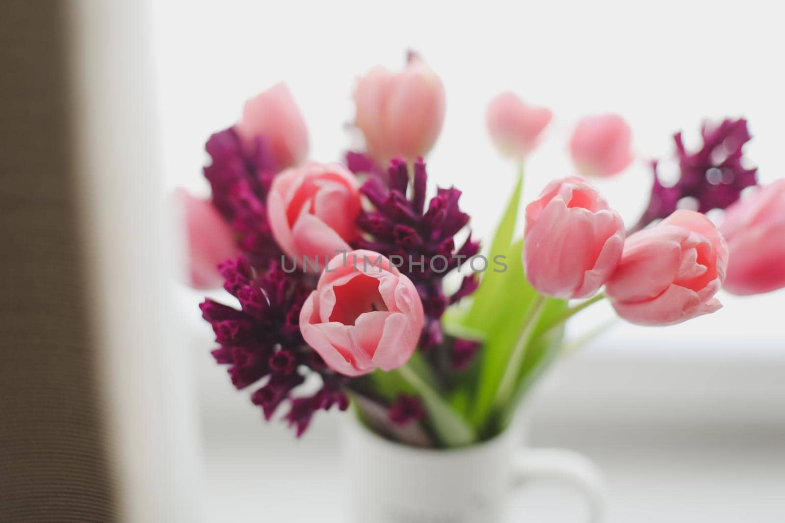 pink tulip bouquet in daylight. Spring stll life, birthday, Easter concept by paralisart