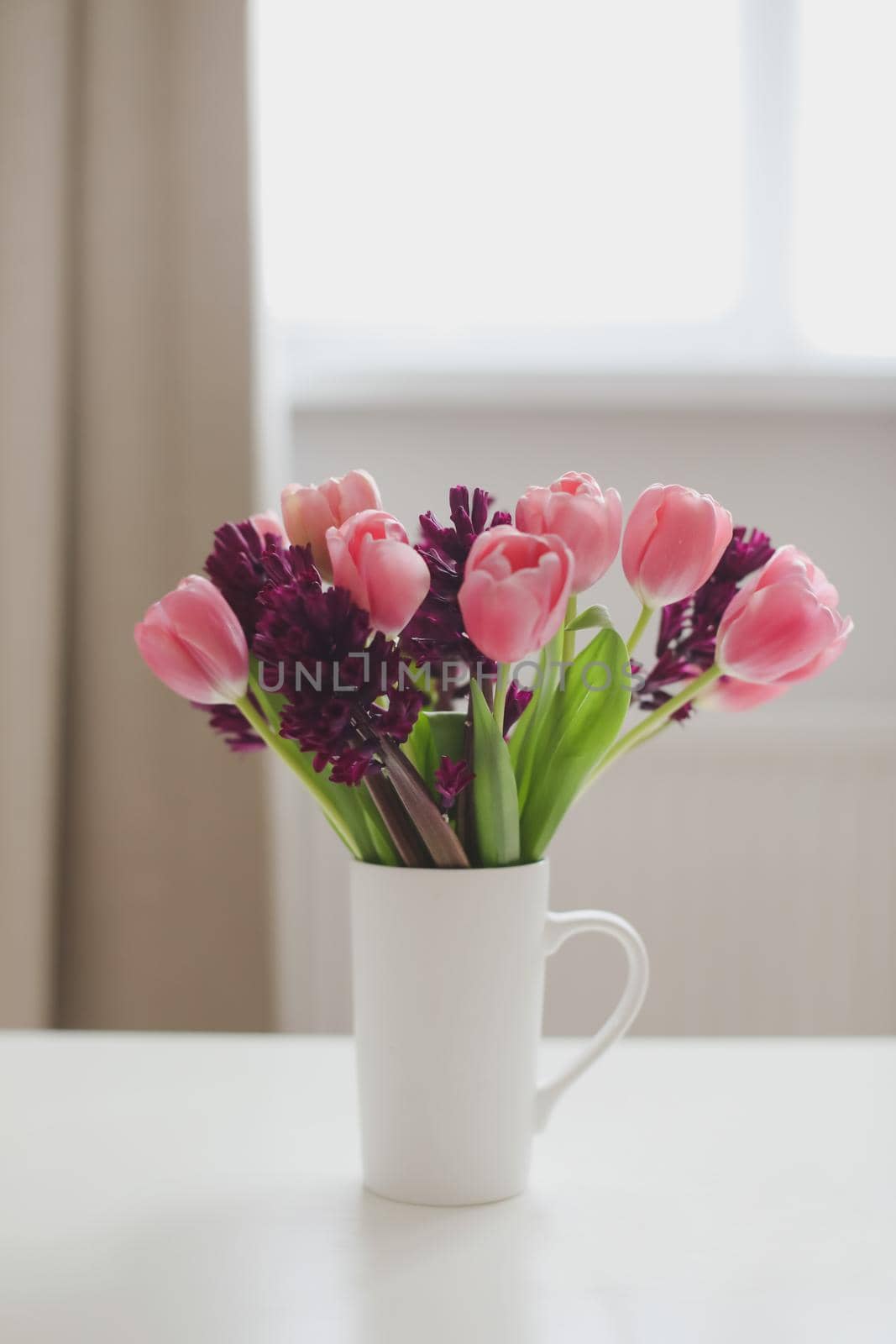 pink tulip bouquet in daylight. Spring stll life, birthday, Easter concept.