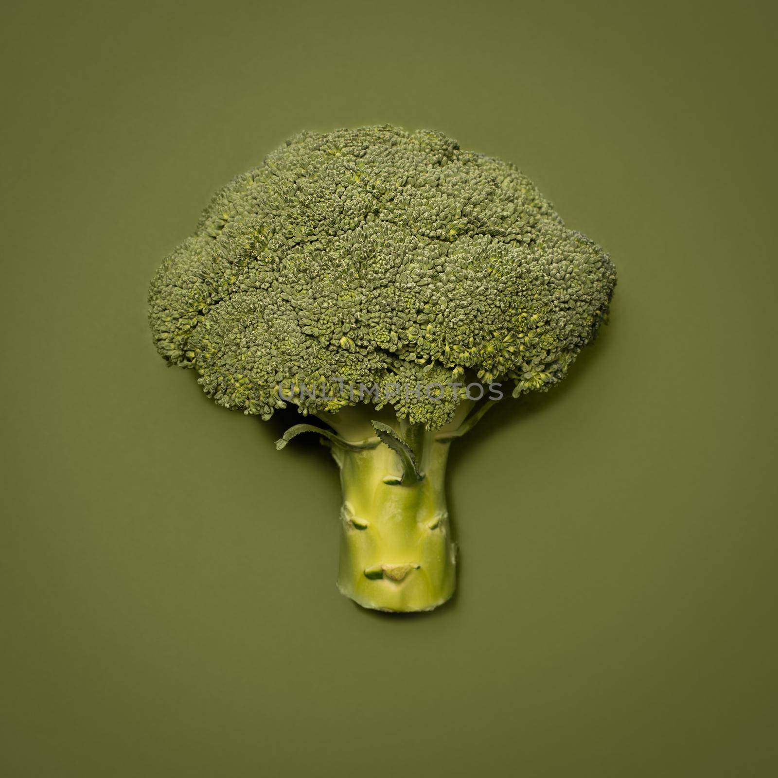 Youll never get enough of this. Shot of a broccoli floret against a studio background. by YuriArcurs