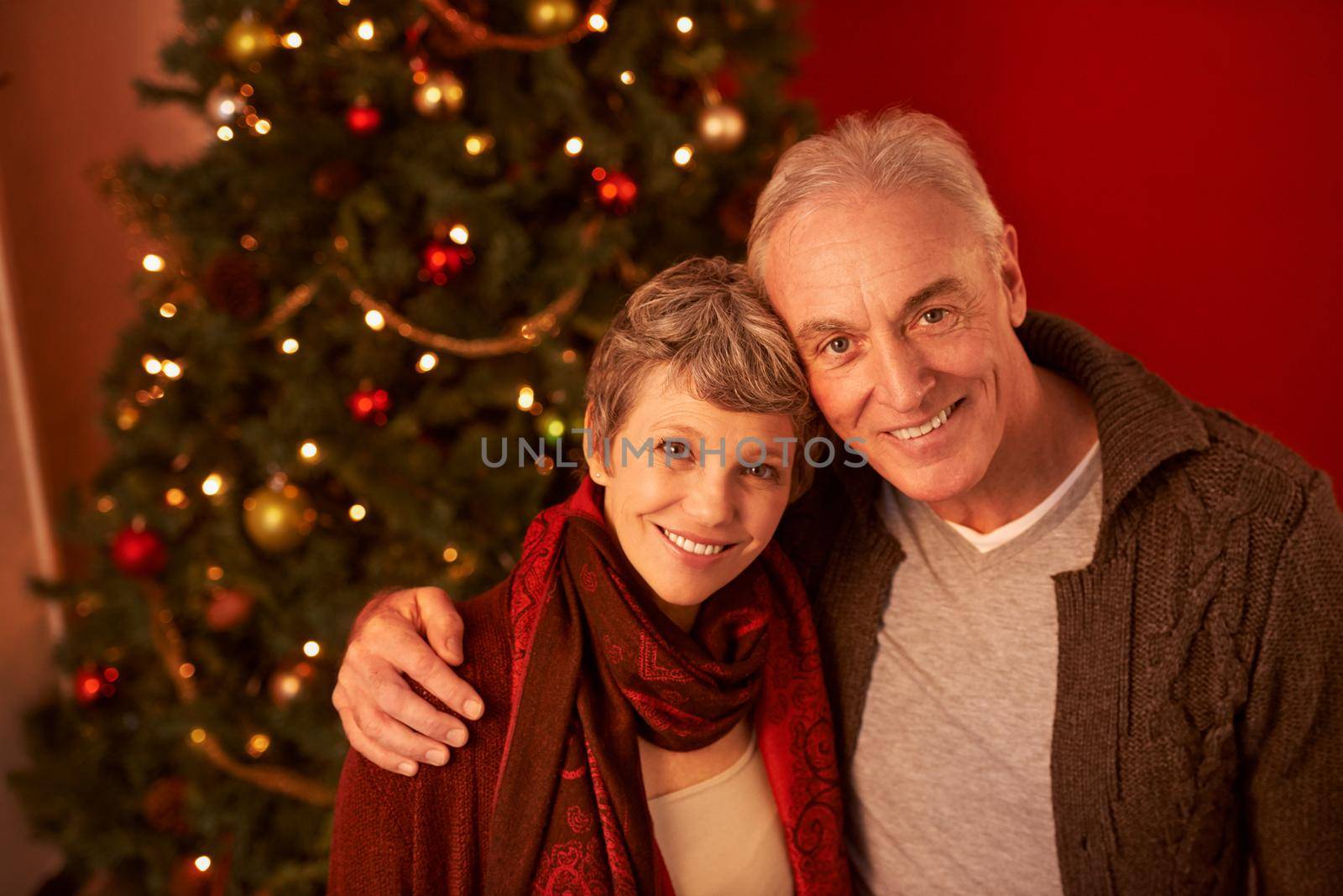 A cropped portrait of a happy mature couple in front of a Christmas tree.