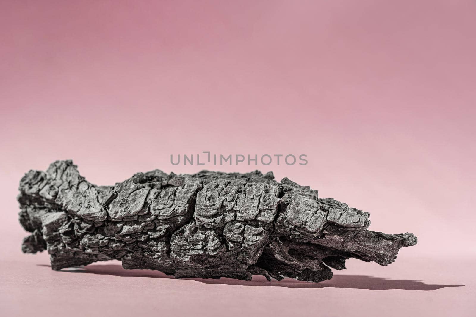 Pink background for cosmetic product presentation with shadows from sun. Backdrop with bark tree, display, mockup for product photography. Banner