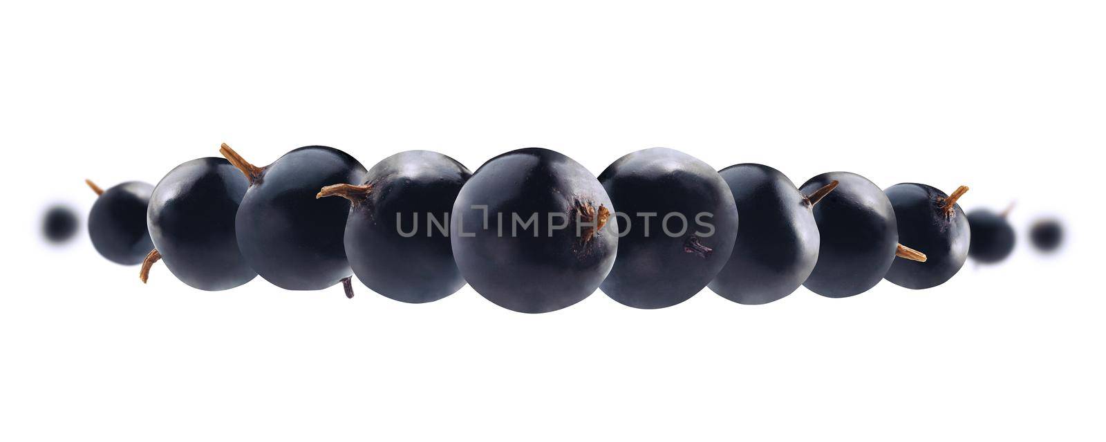 Blackcurrant berries levitate on a white background by butenkow
