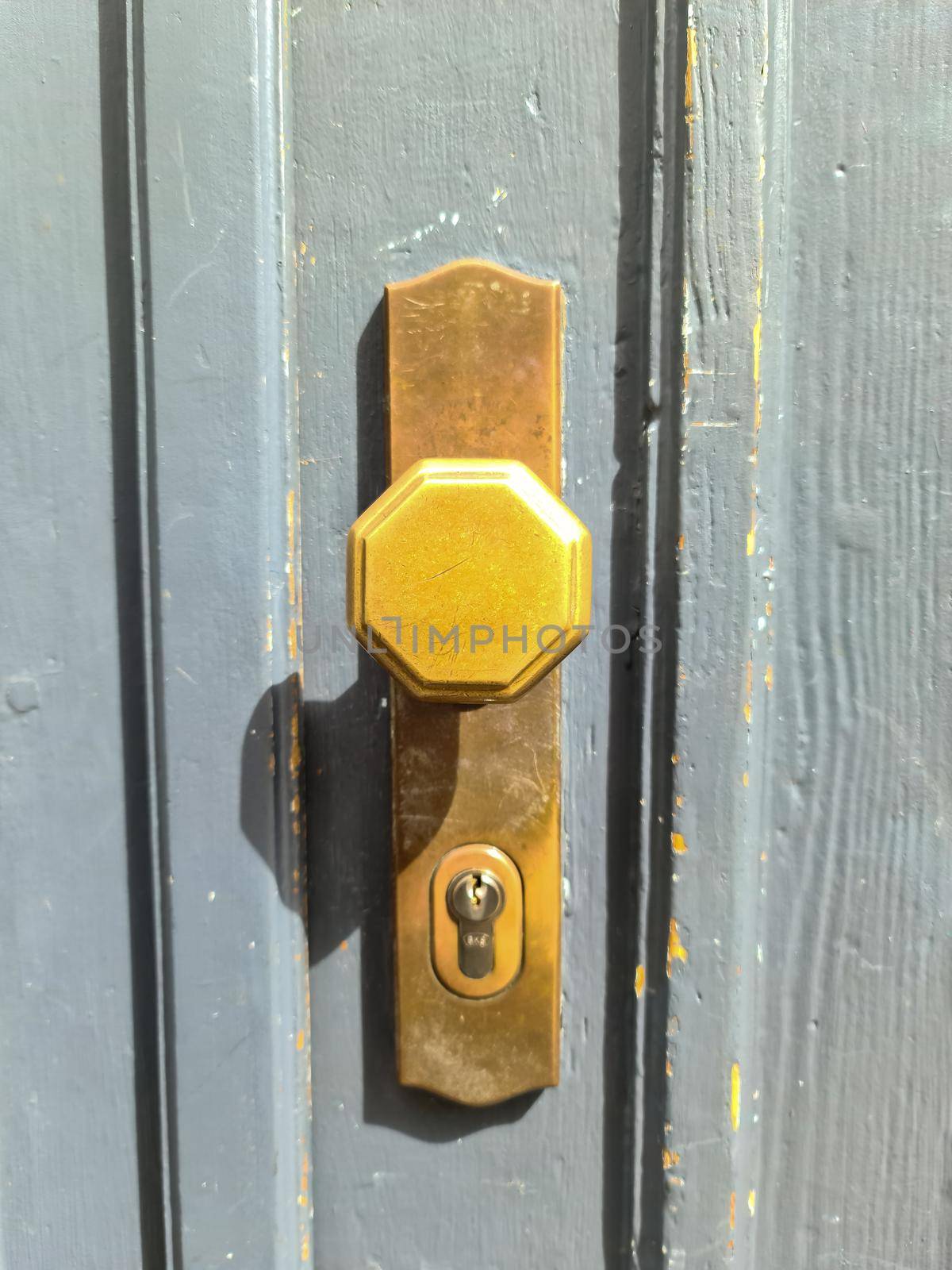 Close up of a metal lock at a closed Door