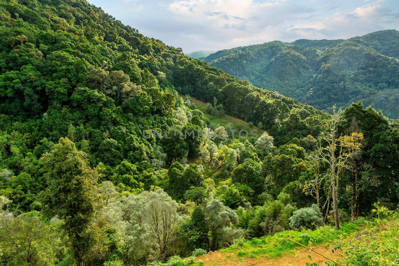 Landscape in San Gerardo de Dota, Costa Rica. by artush